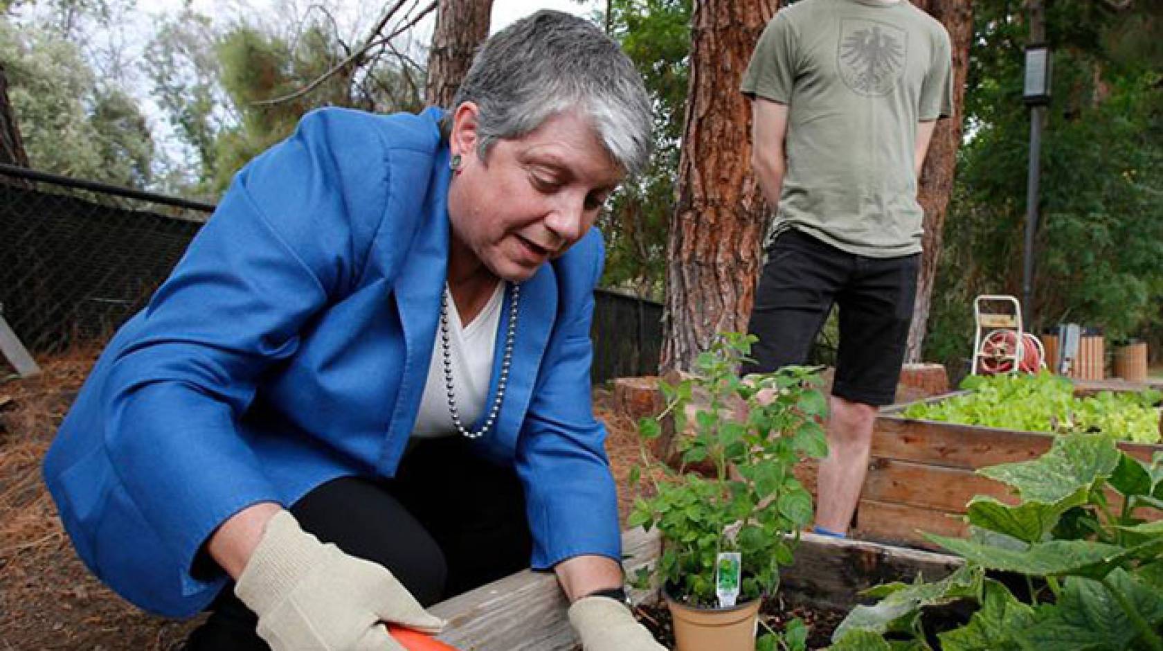 Janet Napolitano plants oregano with student Matt Orke