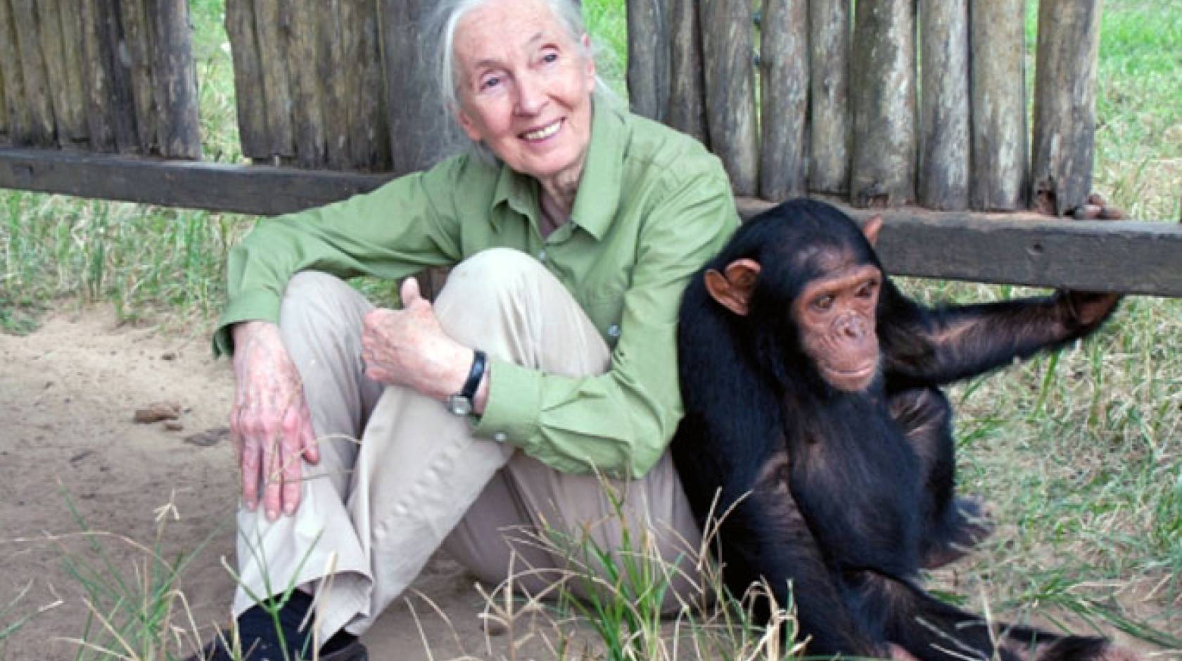 Jane Goodall sitting with a chimp