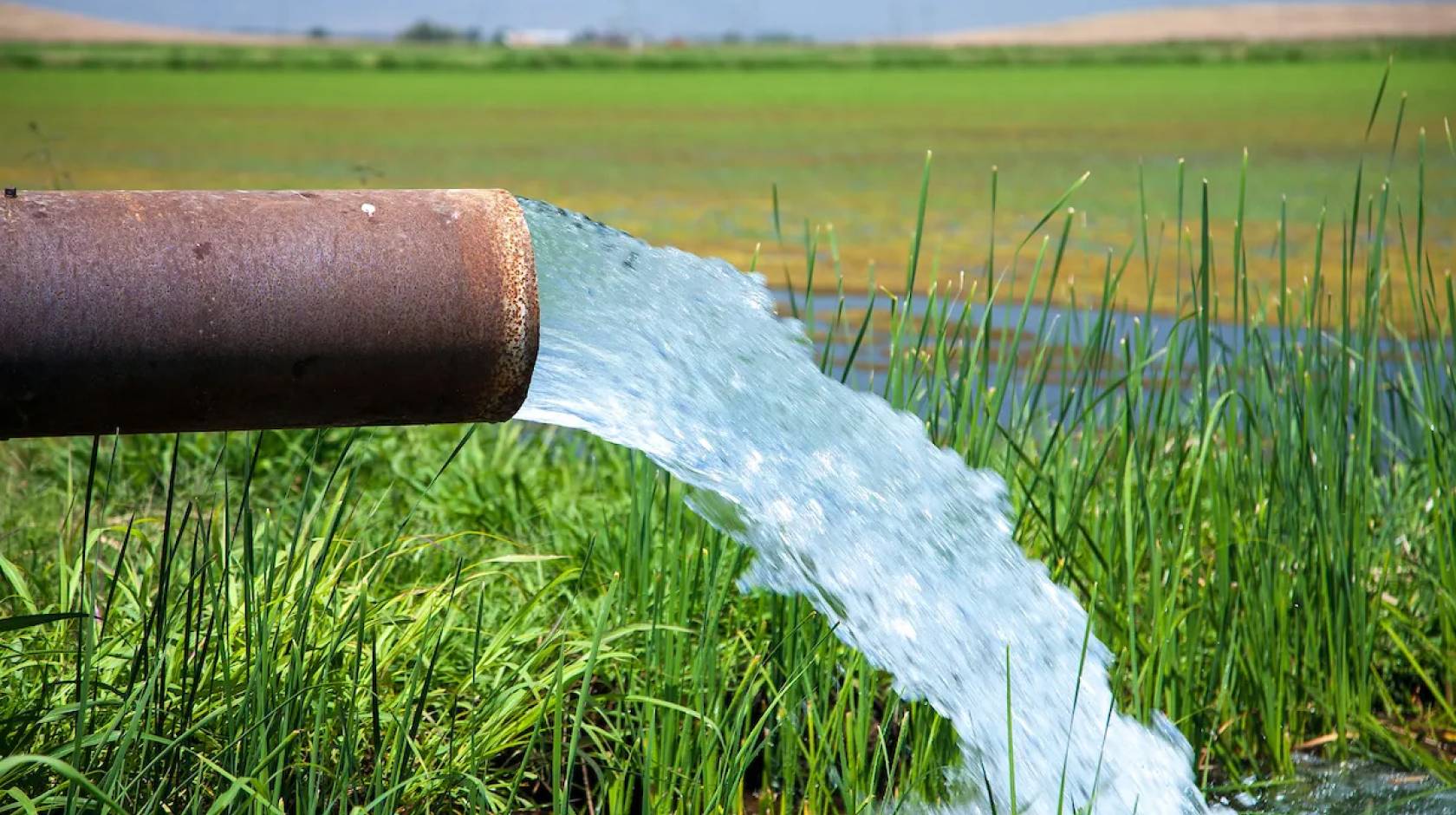 Water pouring out of a large pipe into a verdant wetland