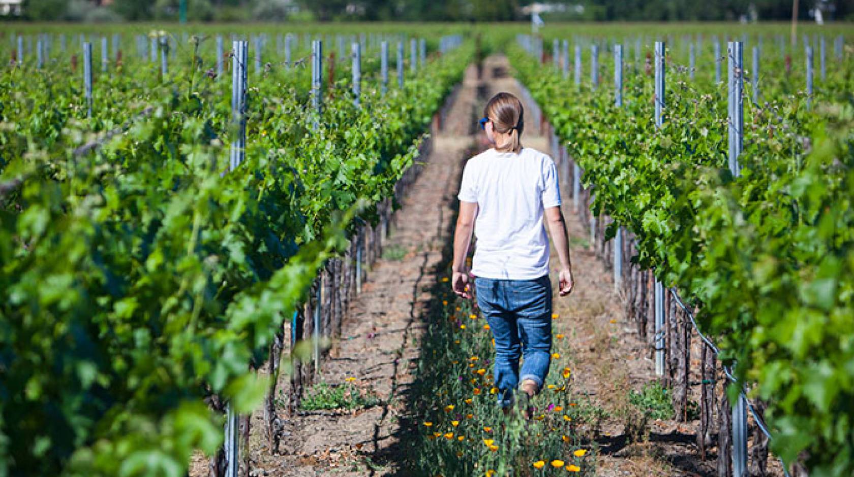 woman walks among rows of crops