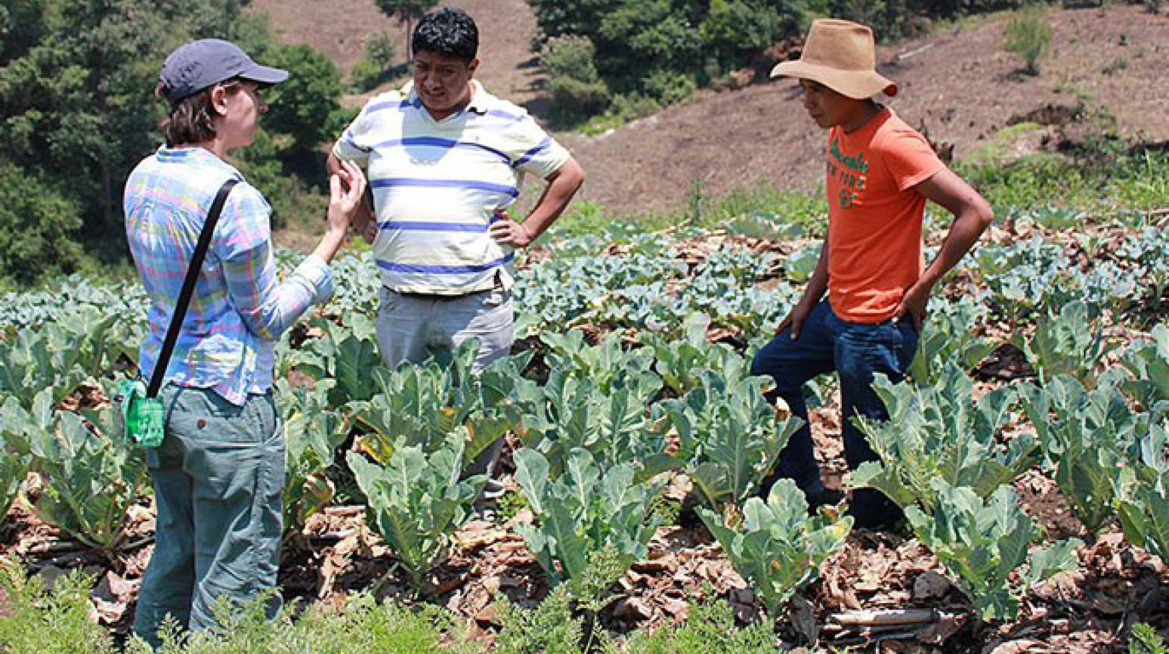 UC Davis Guatemala