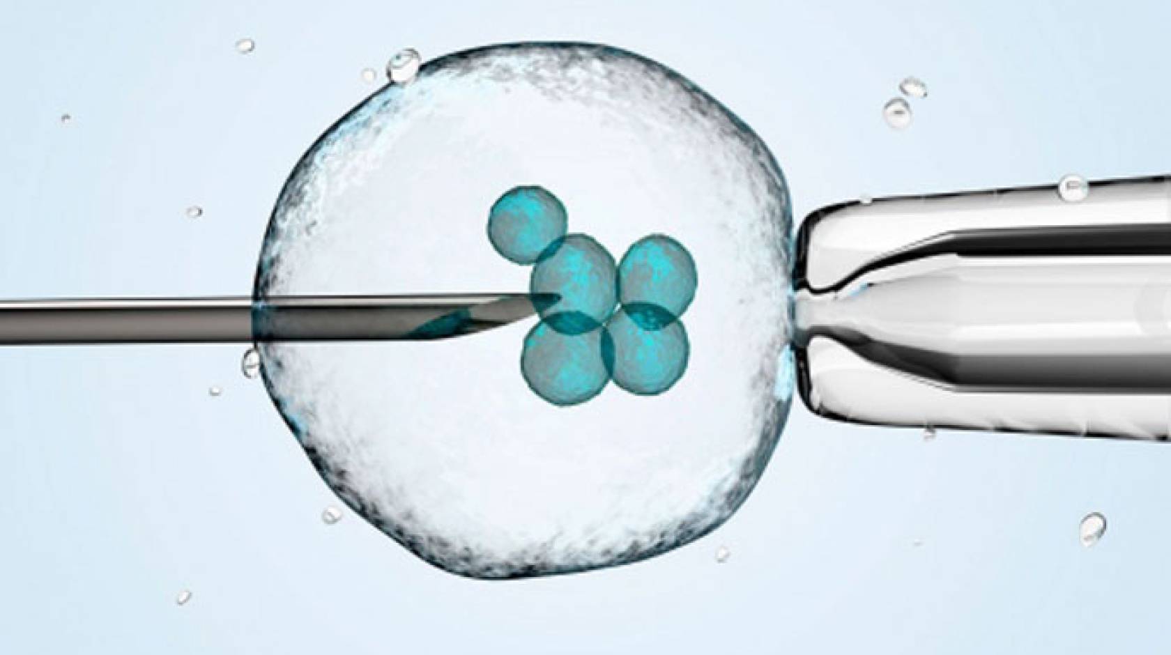 In vitro fertilization illustration