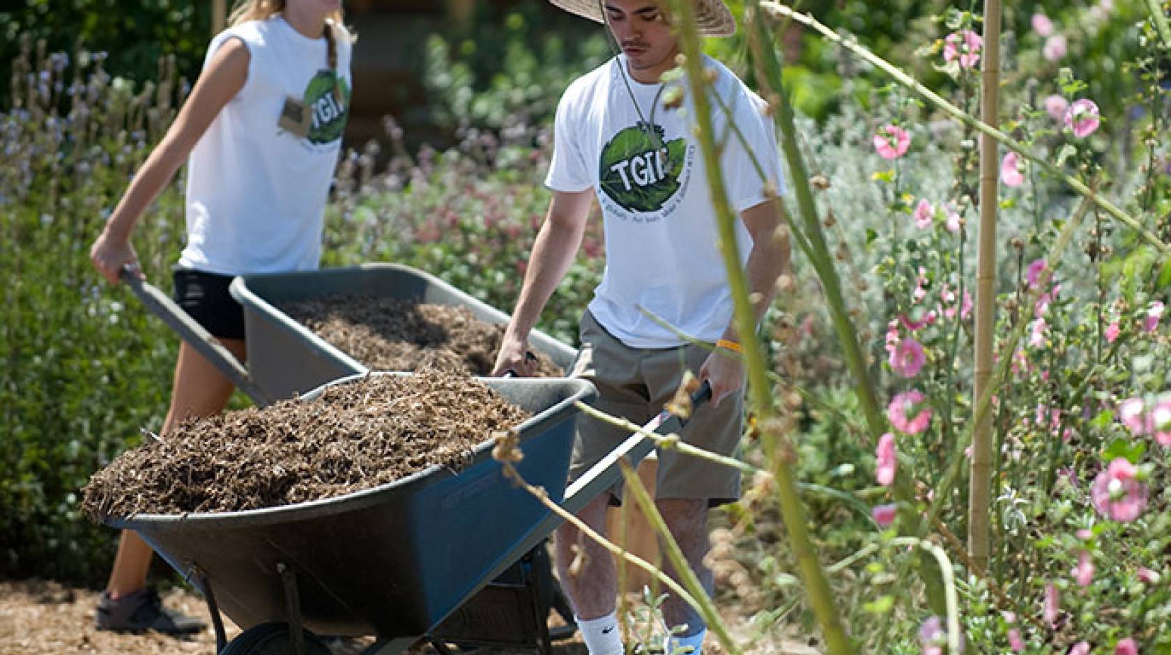 Irvine students in community garden