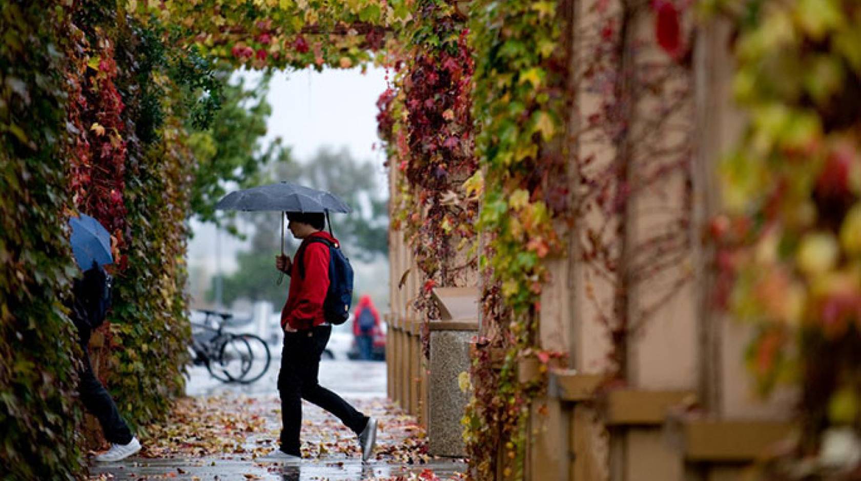 students walking in rain