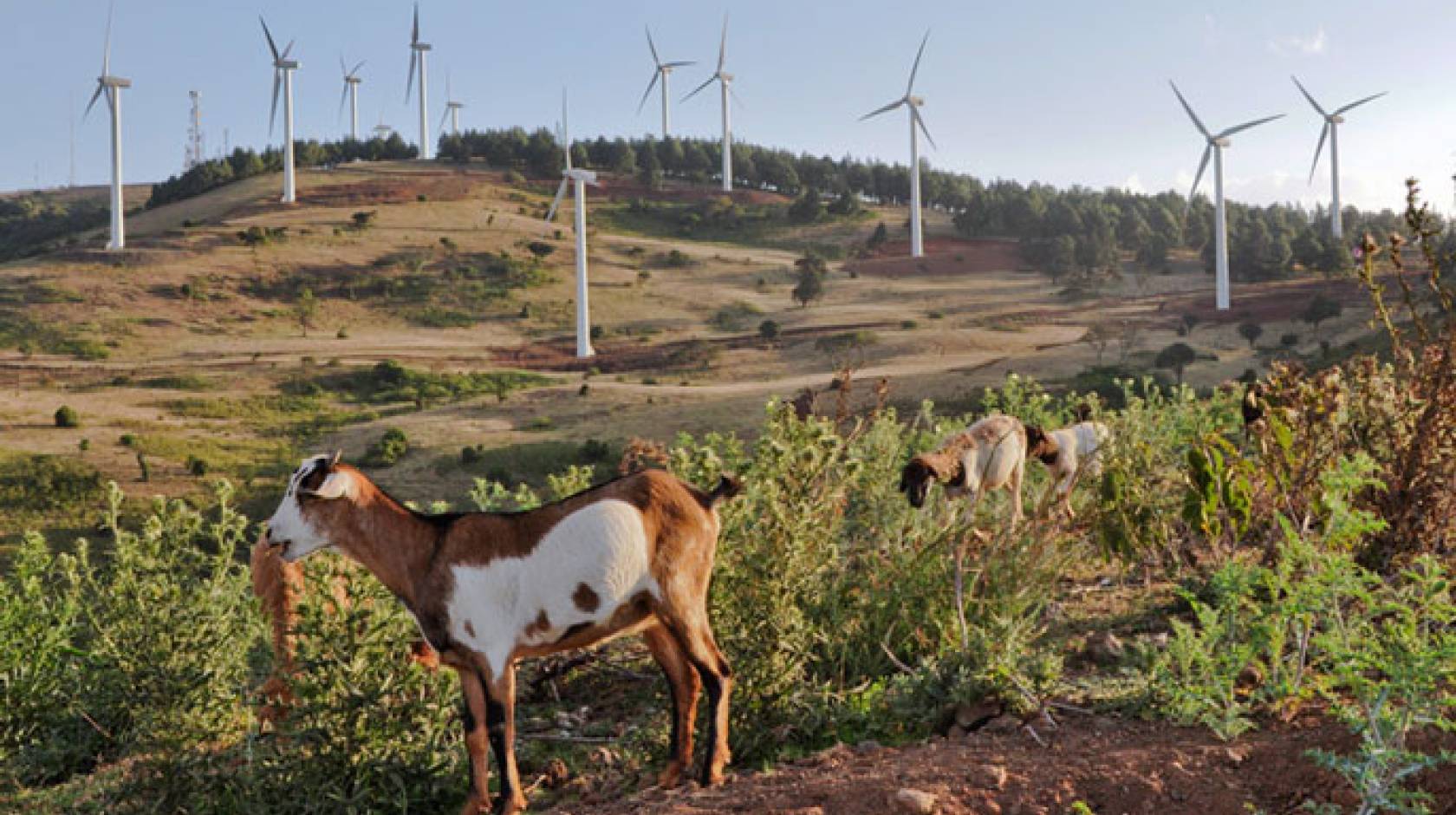 Kenya wind UC Berkeley