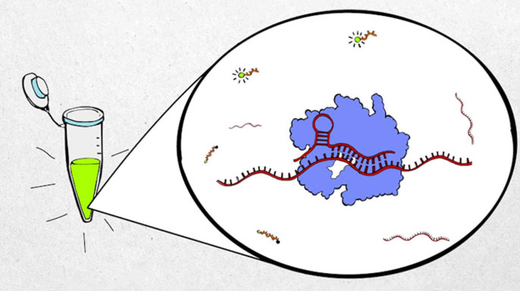 Diagnostic test and sample illustration