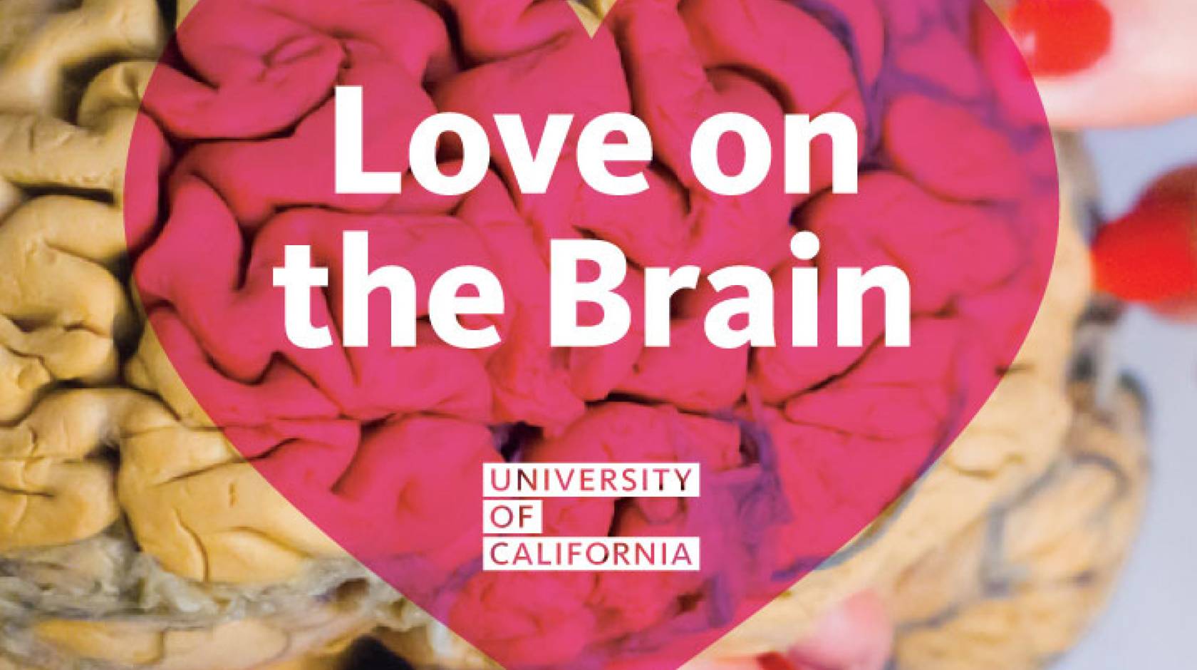 UC love on the brain