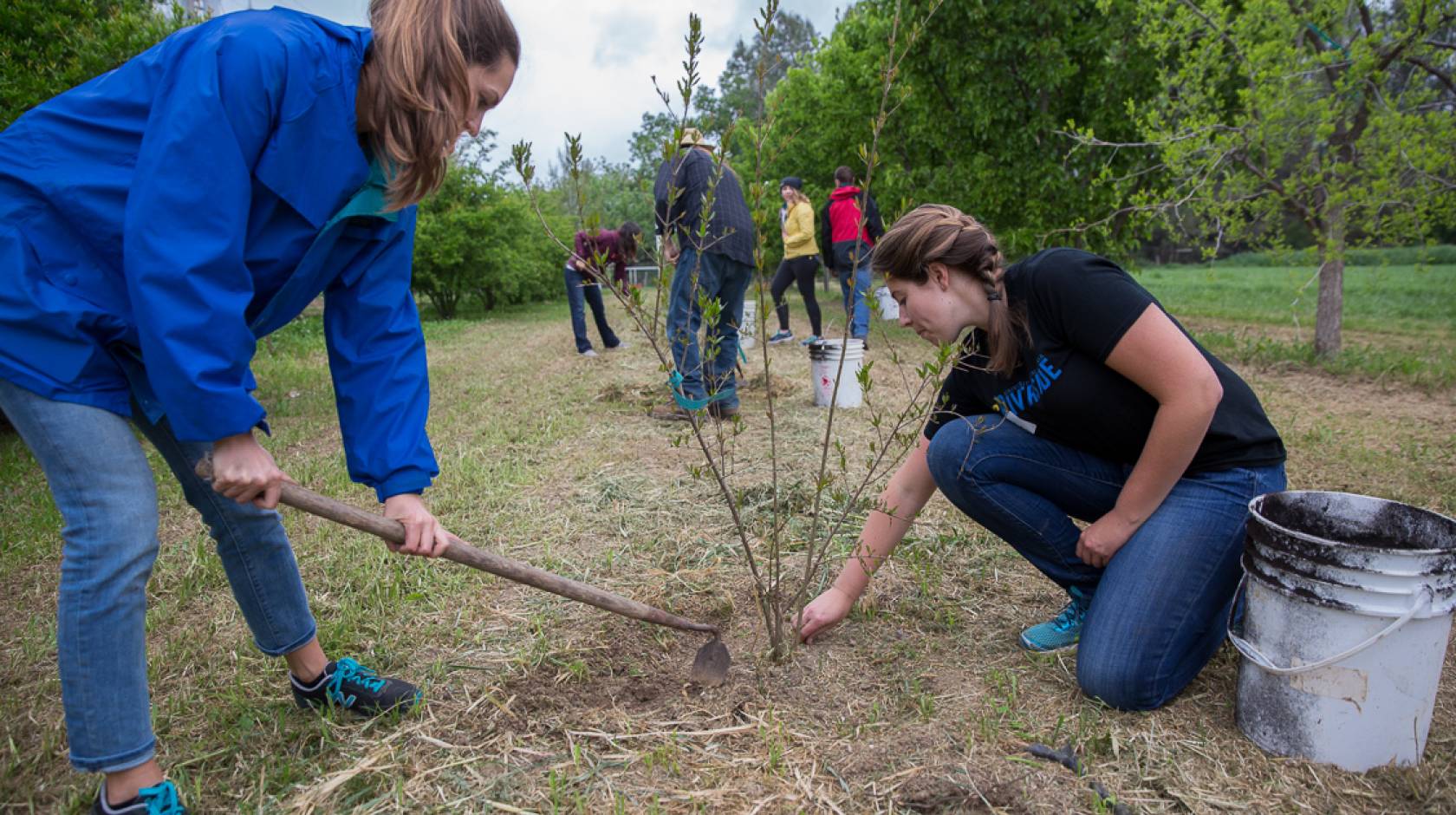 This year's class of UC Global Food Initiative student fellows includes returning fellows (left) Hannah Malan of UCLA and Holly Mayton of UC Riverside, who participated last spring in a GFI fellows' field trip to Full Belly Farm in the Capay Valley.