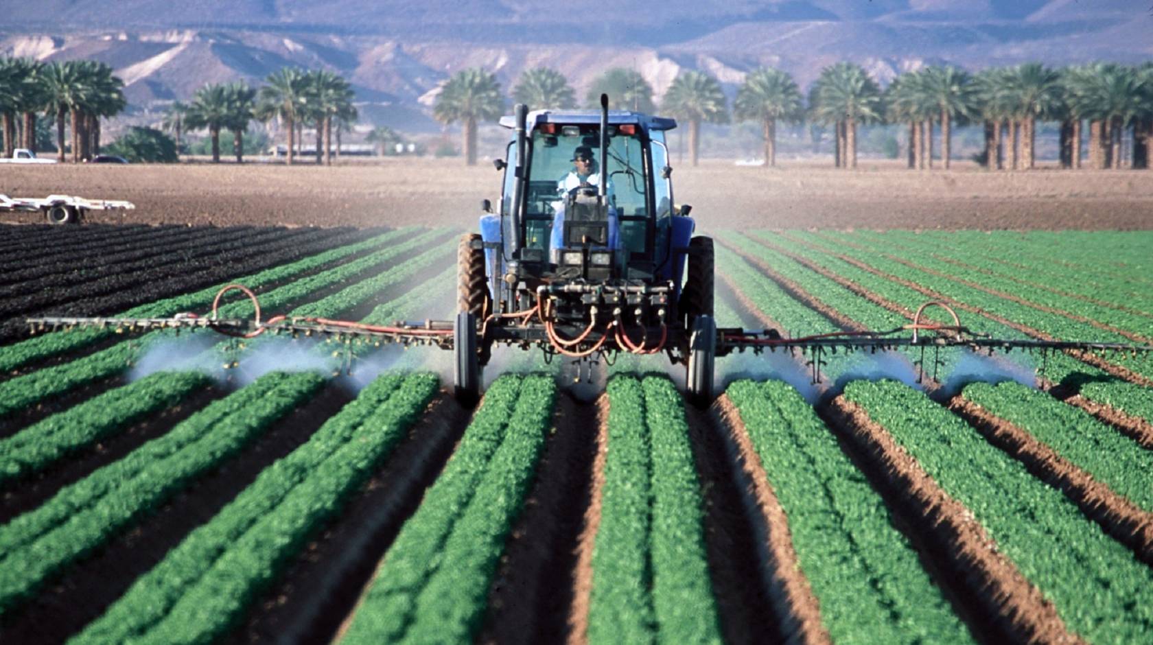 Man in tractor spraying crops in a field