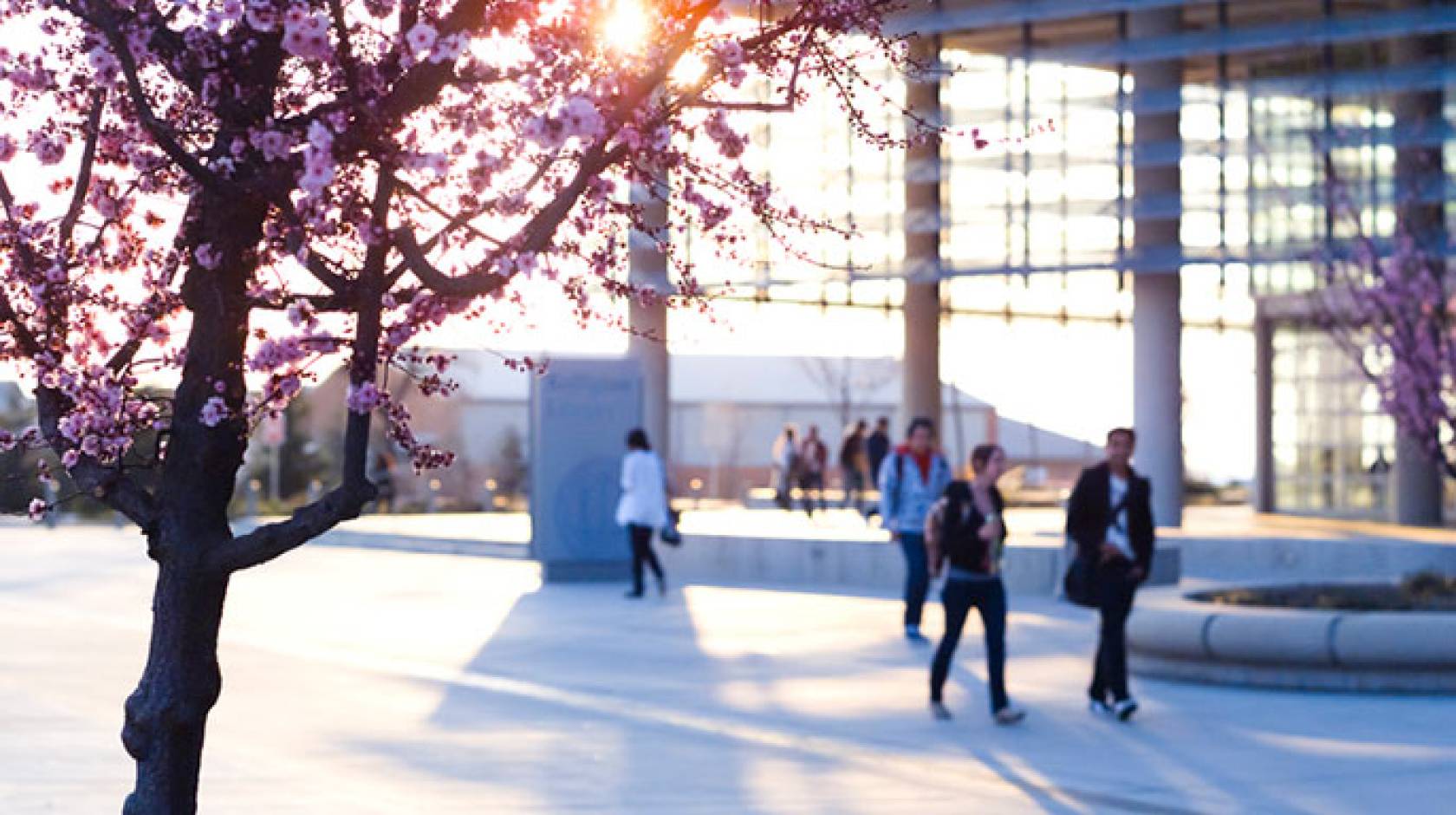 UC Merced