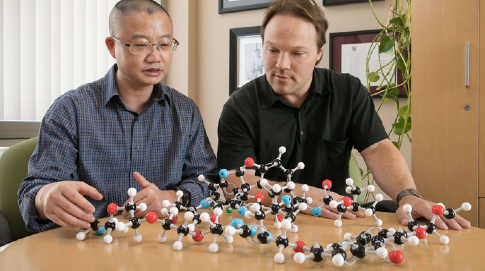 UCLA molecules Harris