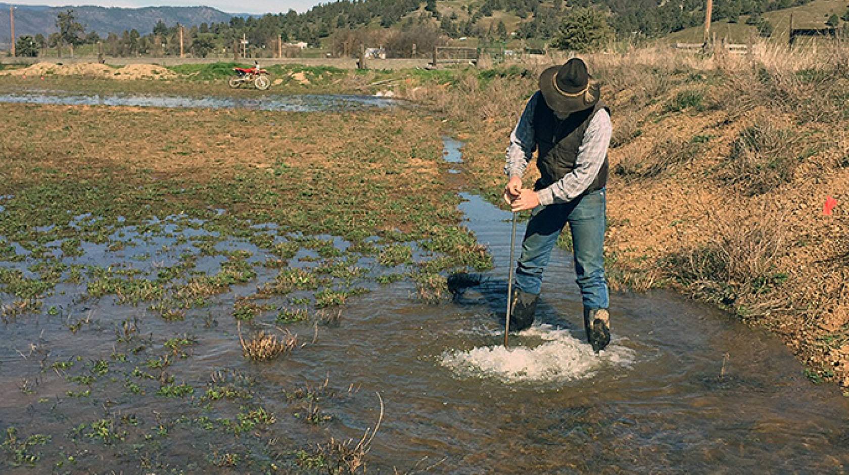 Bryan-Morris Ranch manager Jim Morris stands in a flooded alfalfa field along the Scott River in Siskiyou County.