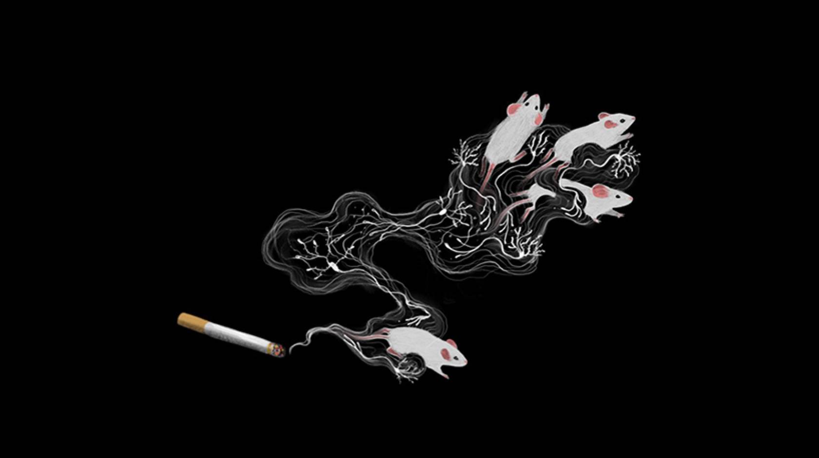 Drawing of mice moving away from a lit cigarette, wrapped in smoke