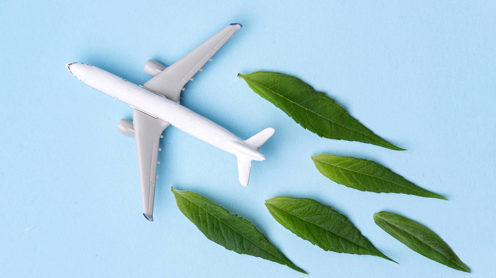 A toy plane with green leaves behind it