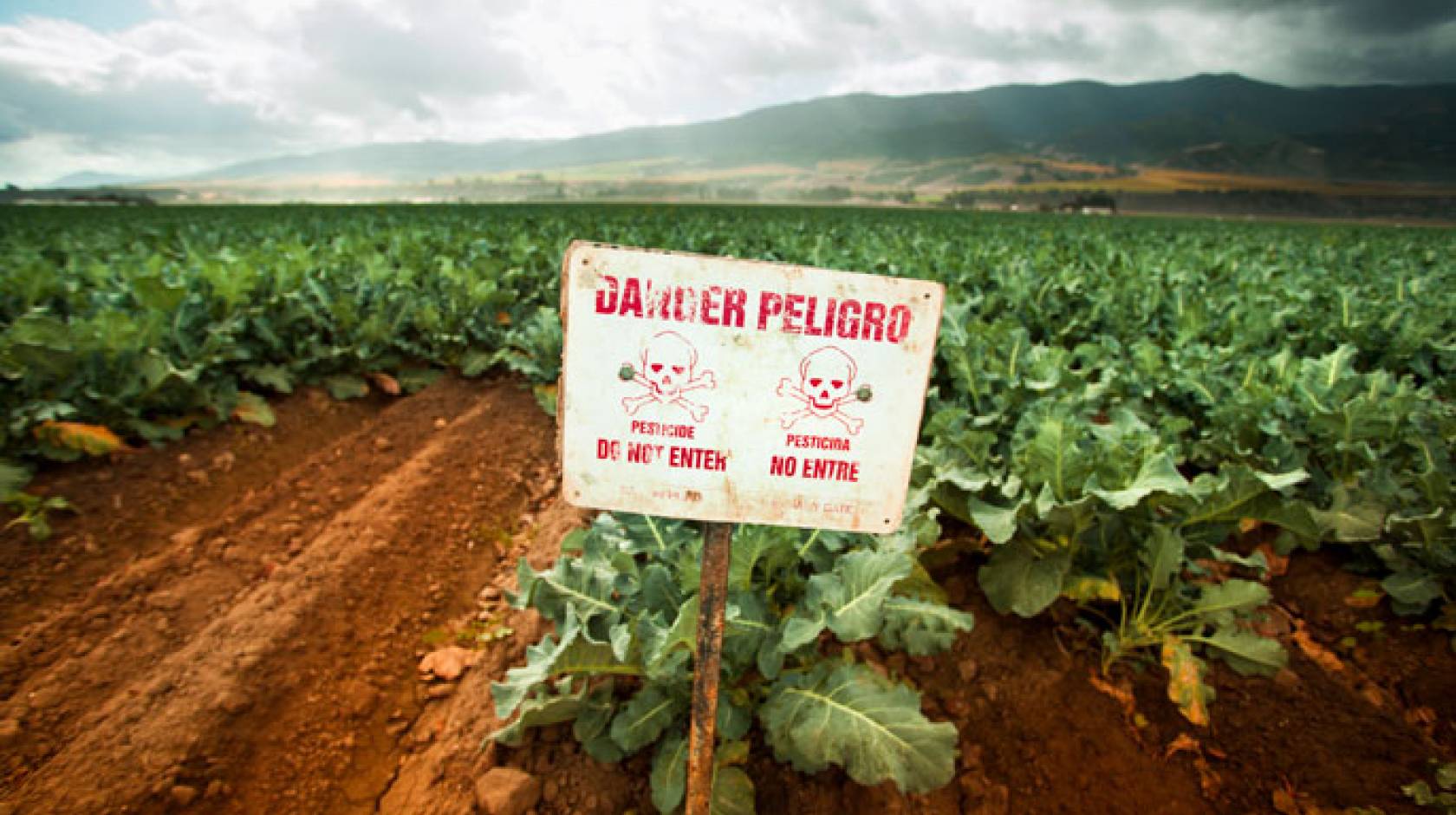 Salinas Valley pesticide