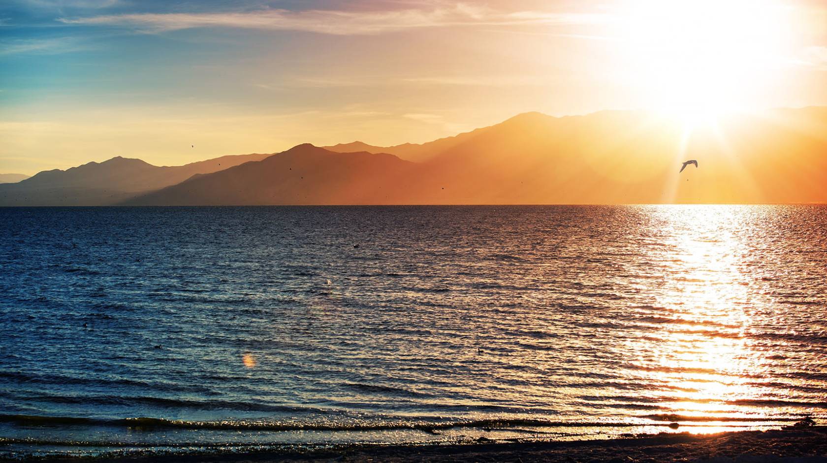 Salton Sea near sunset