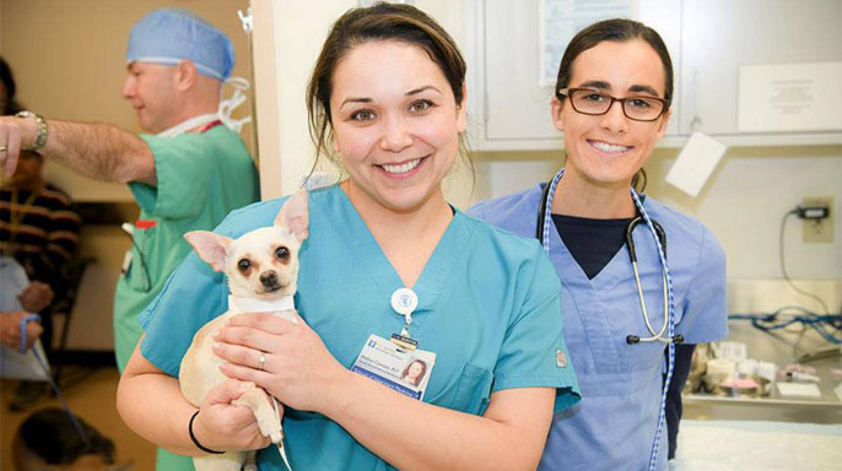 A vet tech holds a dog while a student looks on