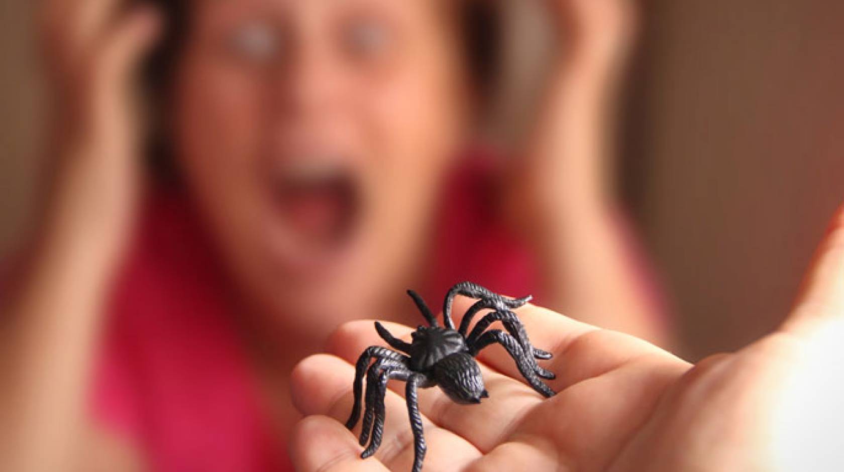 Spider in a hand and a scared woman in the background