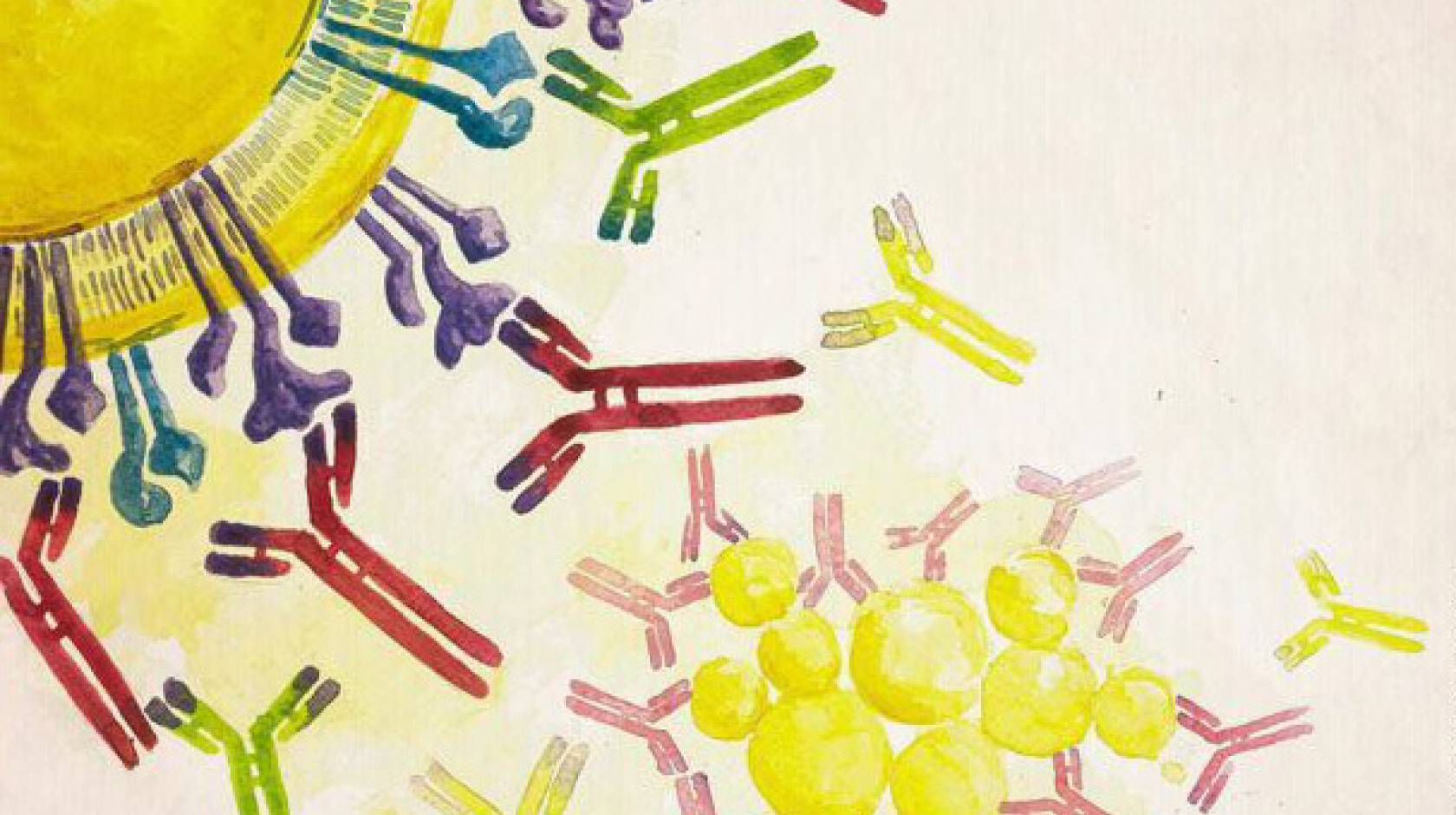 Watercolor illustration of a microscopic concept of a bacterium with antibodies