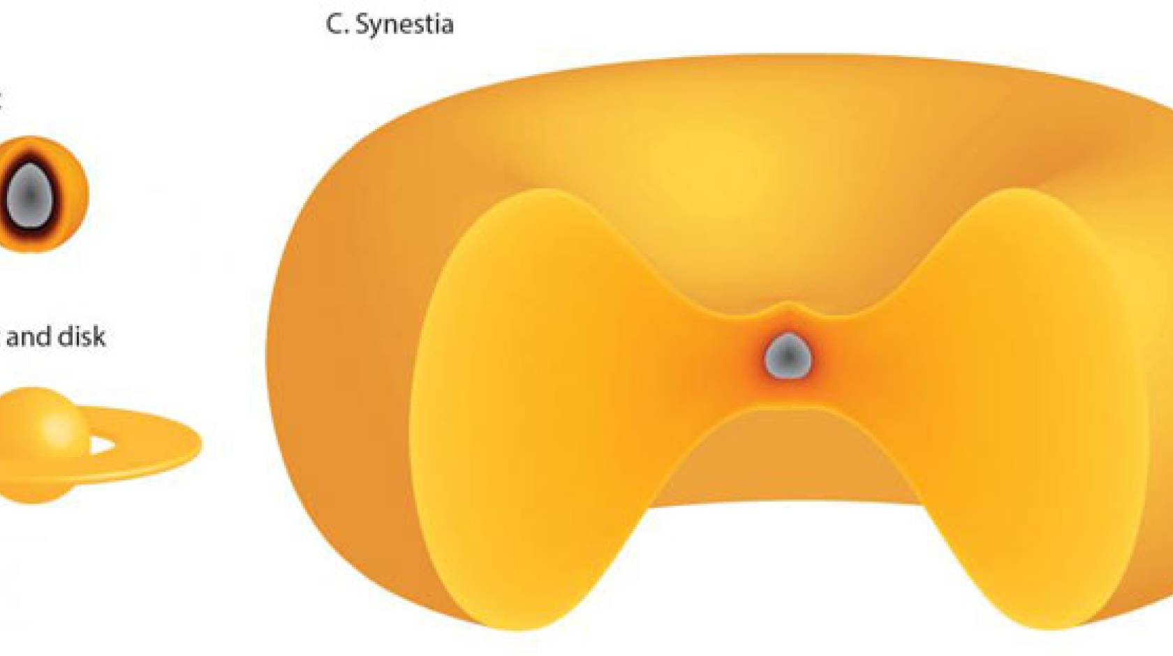 UC Davis Synestia