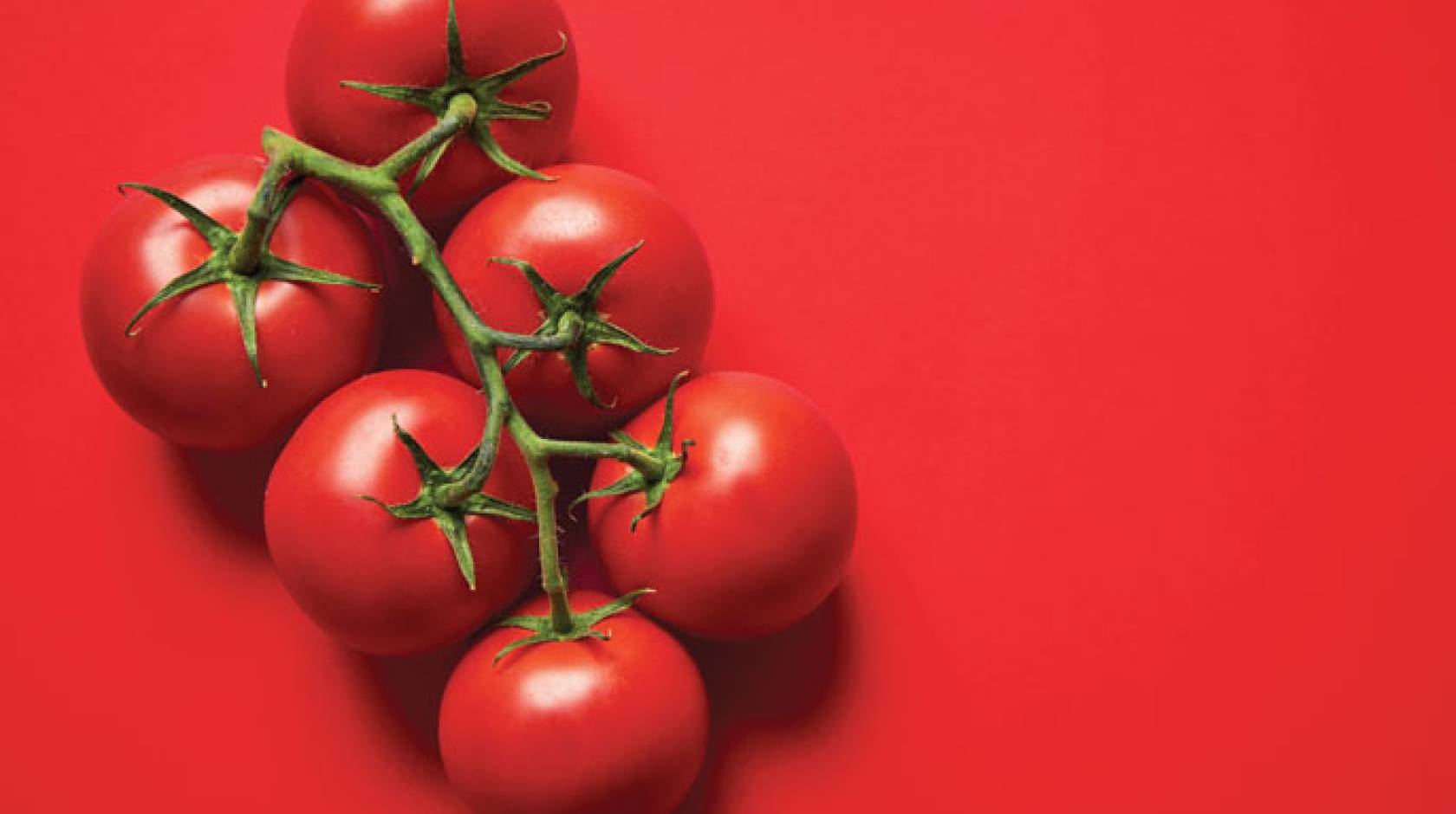 Red tomatoes on a red table