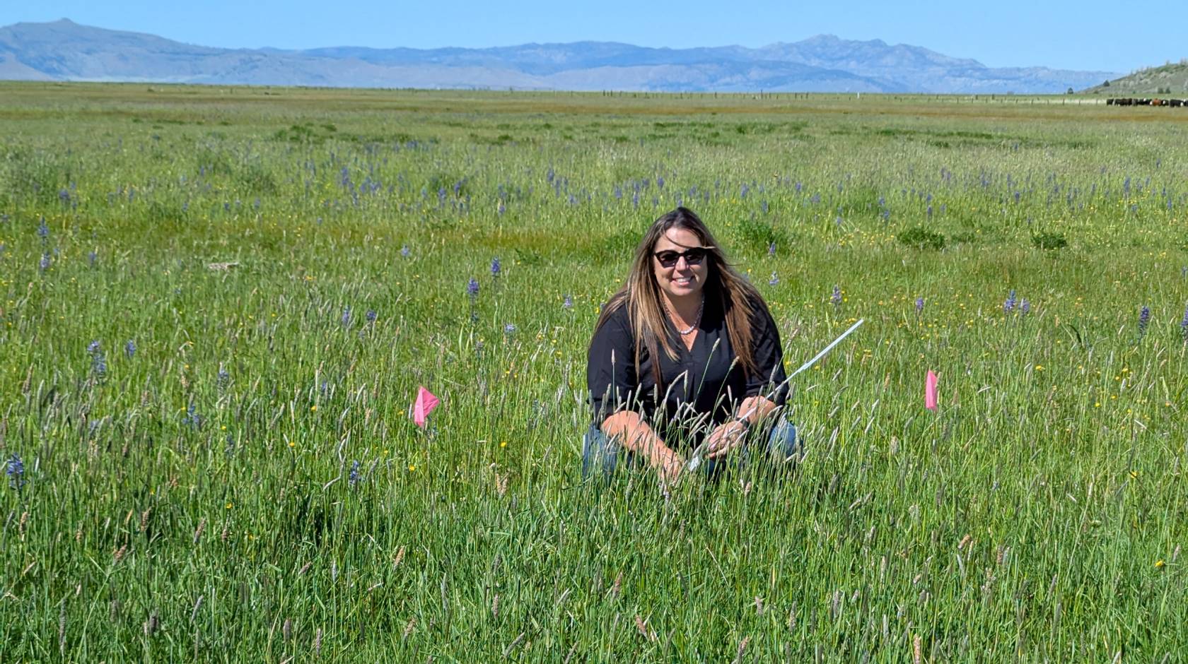 A woman wearing sunglasses crouched in a grassy field with cattle far in the background