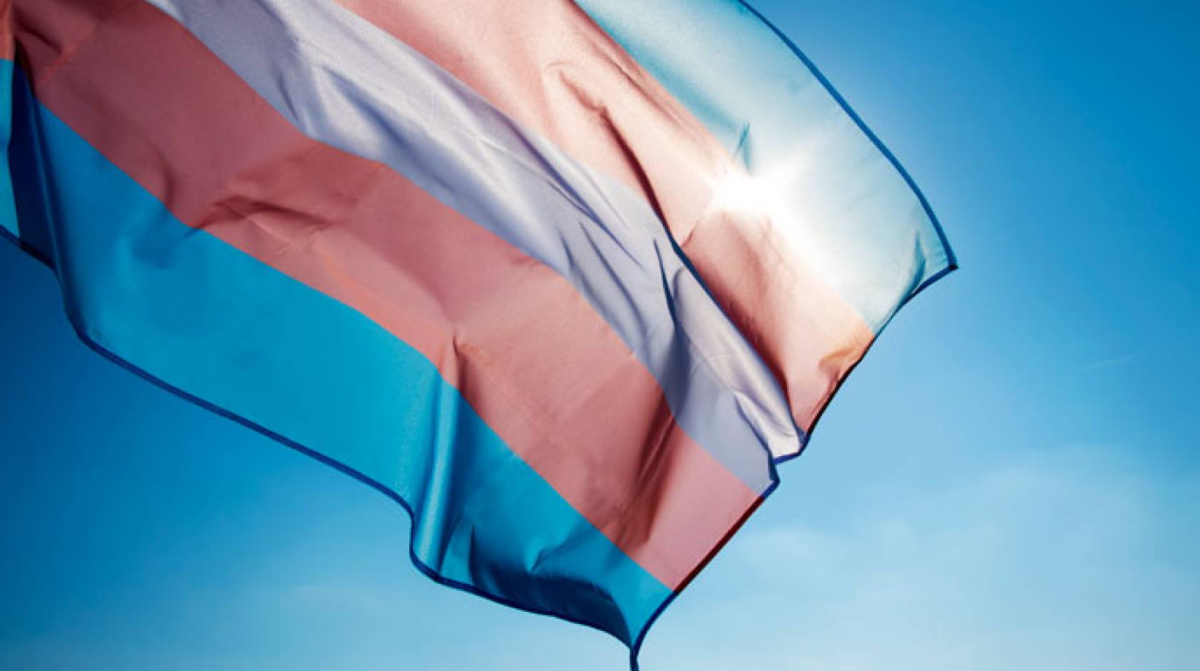 Trans flag flying