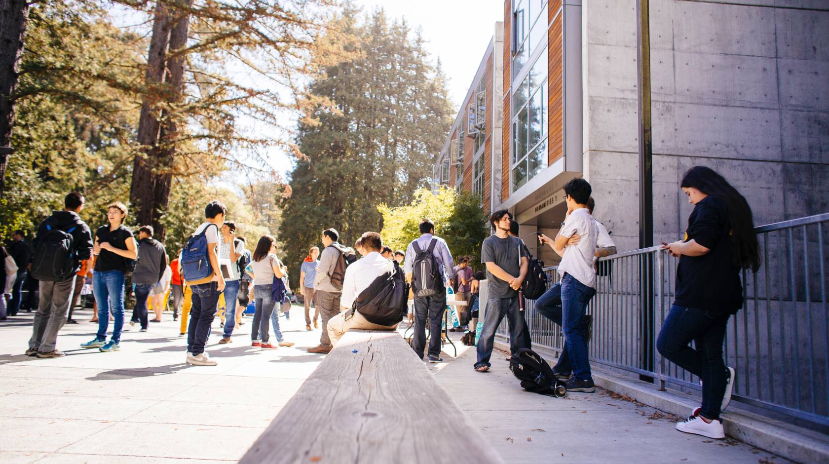 Students gather outside on a sunny day among the redwoods at UC Santa Cruz