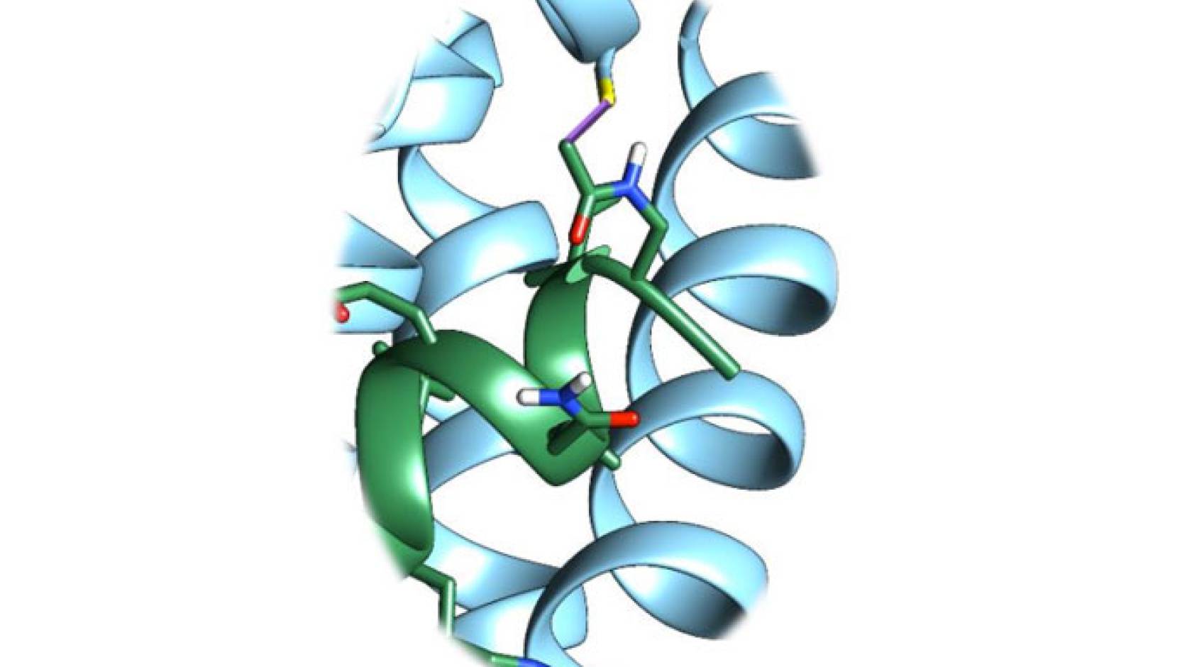 UC Riverside death protein