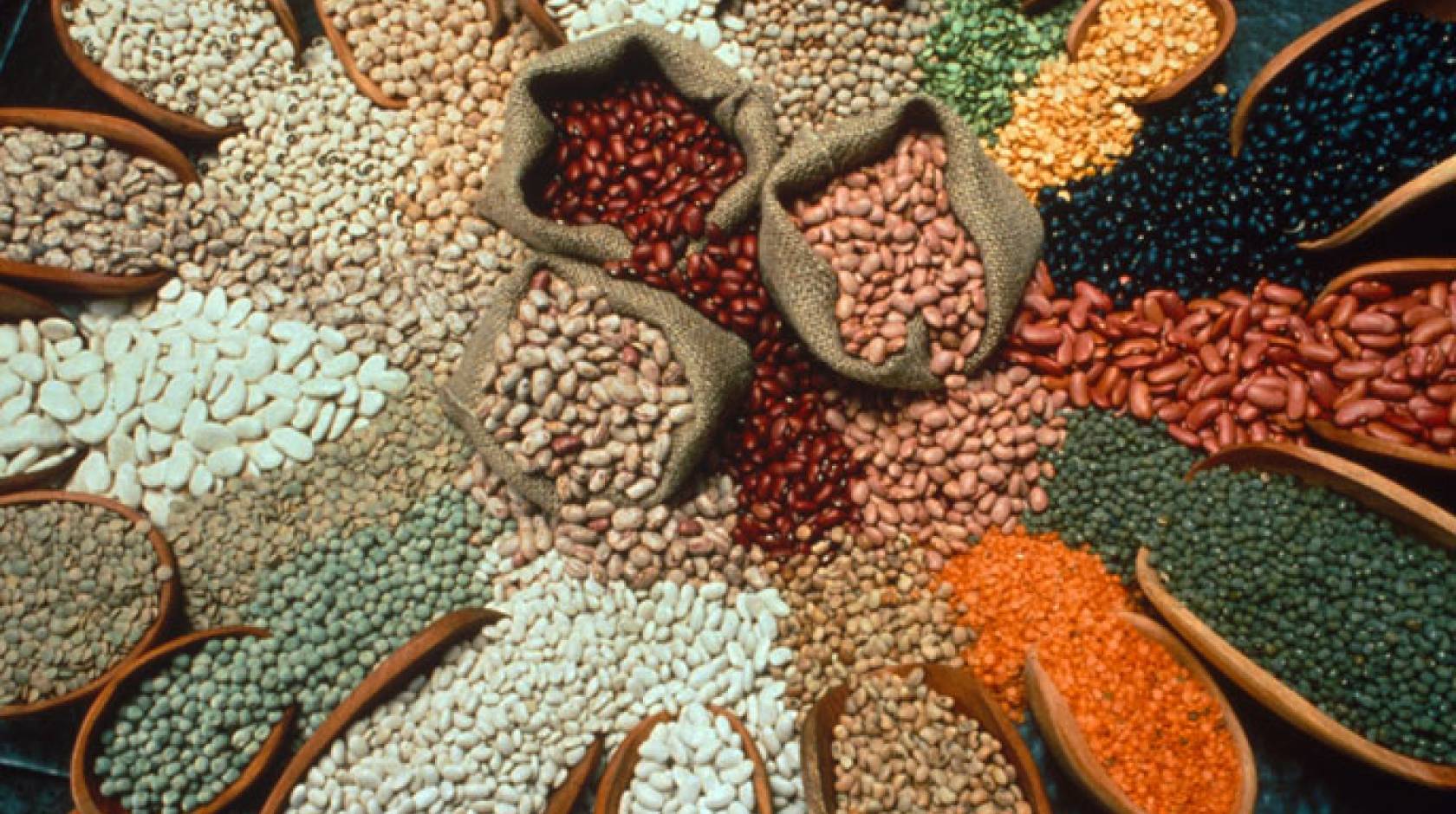 Shown here with other dry bean varieties, white dry lima beans are primarily grown in California.