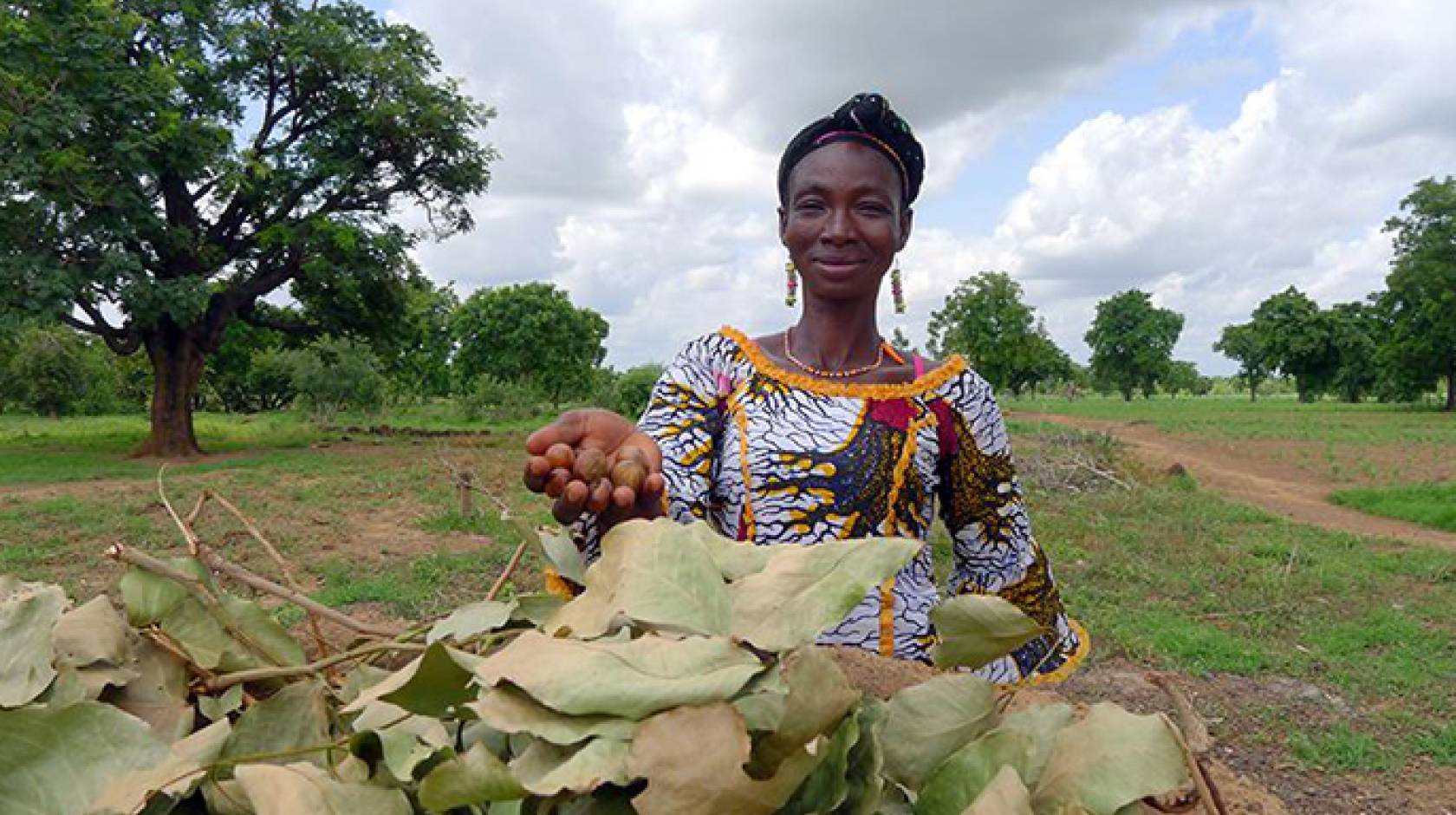 This Southern Burkina Faso farmer holds a handful of shea nuts, an orphan crop in Africa.