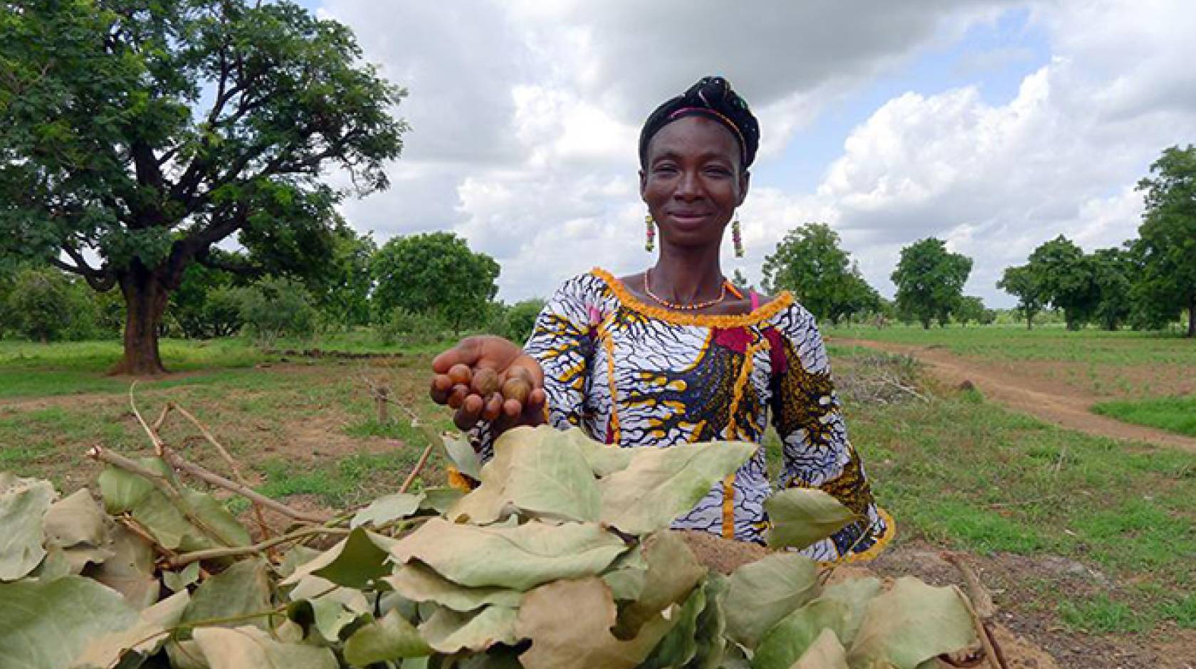 This Southern Burkina Faso farmer holds a handful of shea nuts, an orphan crop in Africa. 