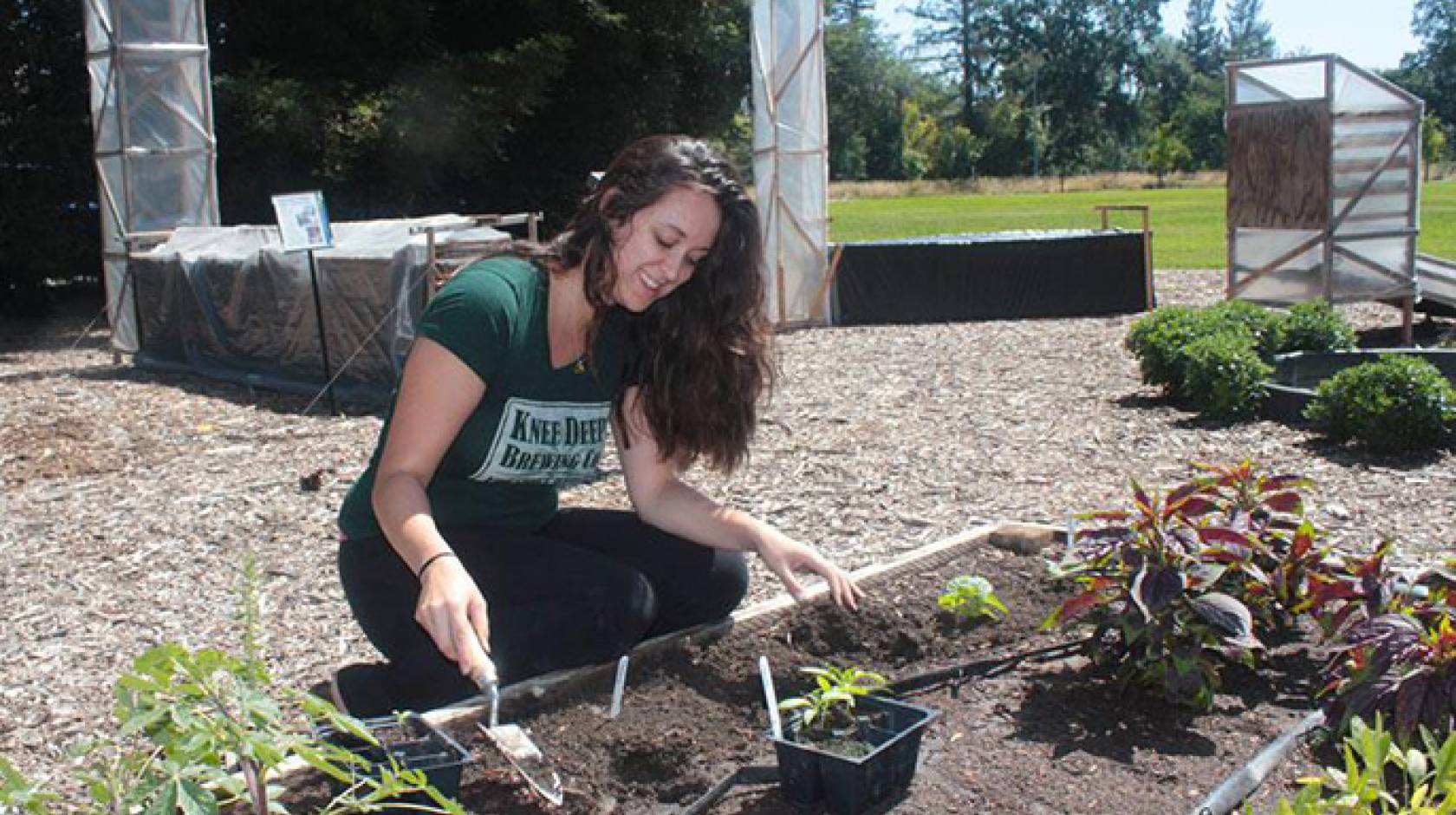 Elise Brockett, student assistant, plants African vegetable seedlings at the Horticulture Innovation Lab Demonstration Center at UC Davis.
