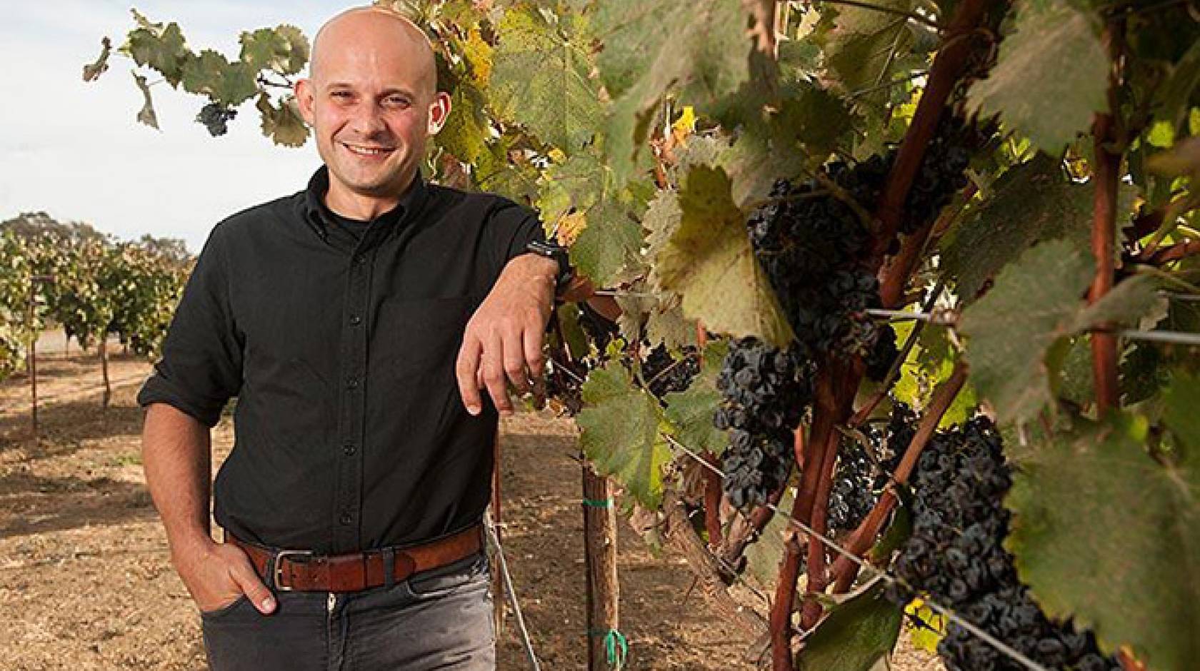 UC Davis plant geneticist Dario Cantu used a new sequencing technology and computer algorithm to produce a high-quality draft genome sequence of the cabernet sauvignon wine grape.