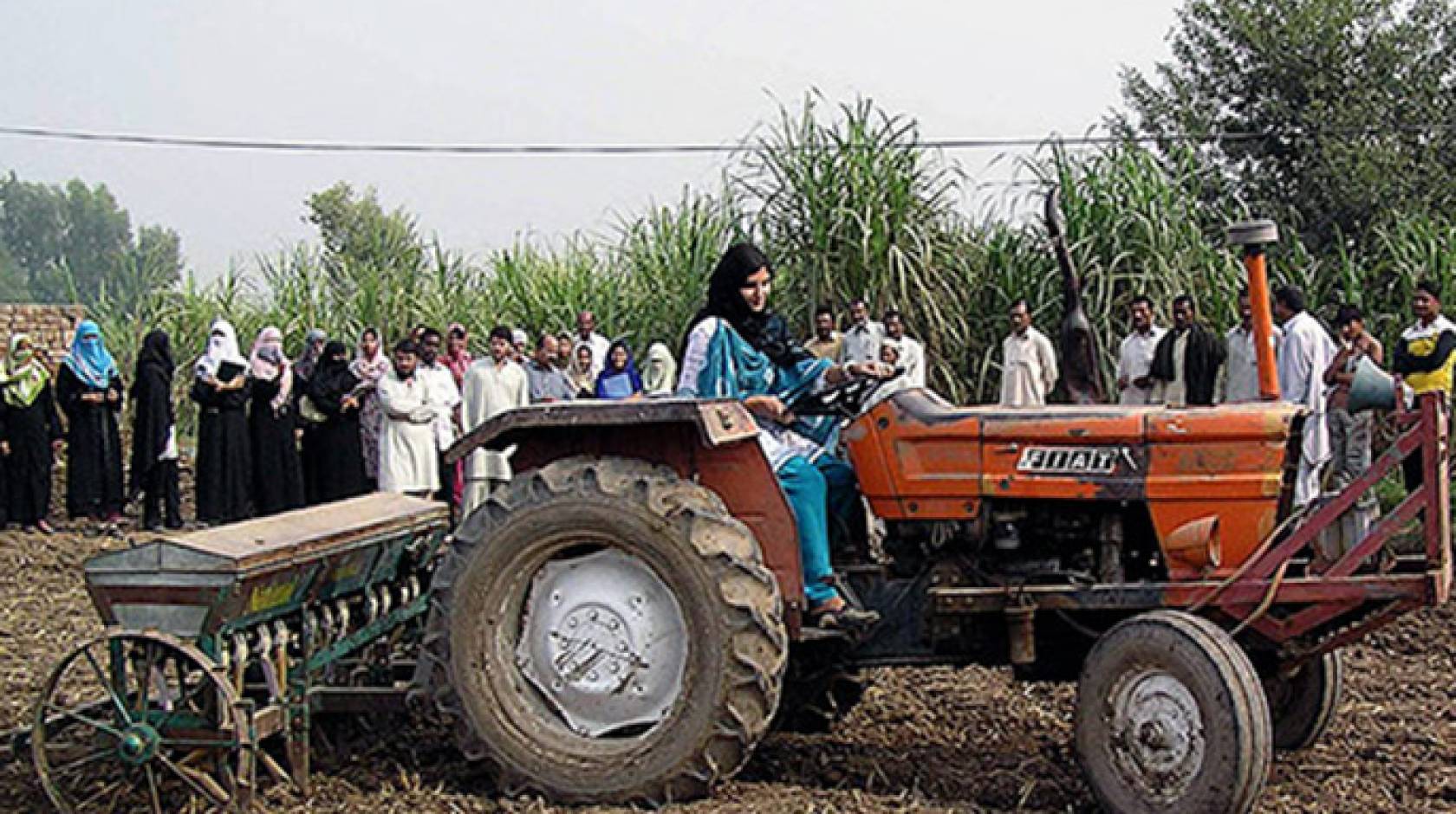 Agriculture, including vegetables, grain and fruit crops, is the largest sector of Pakistan's economy.