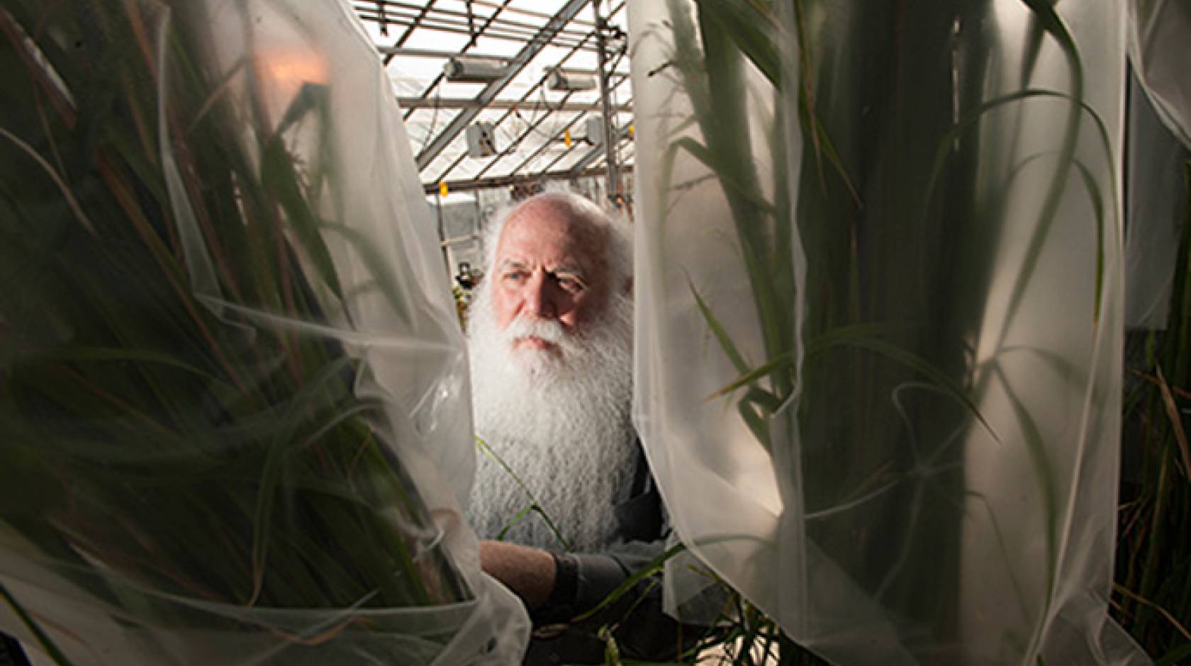 Howard Yana Shapiro, chief agricultural officer at Mars and researcher in plant sciences at UC Davis, will speak at the symposium about the African Orphan Crops Consortium.