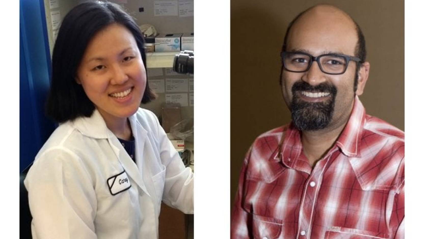 Two separate headshots in one collage image: Sunil Ghandi, pictured here with study co-author Carey Huh on the left