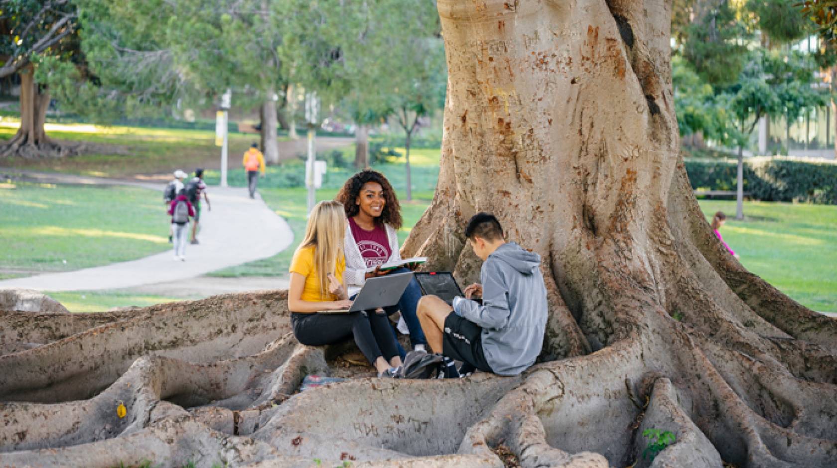 UC earns green accolades from Sierra Club, Princeton Review as a