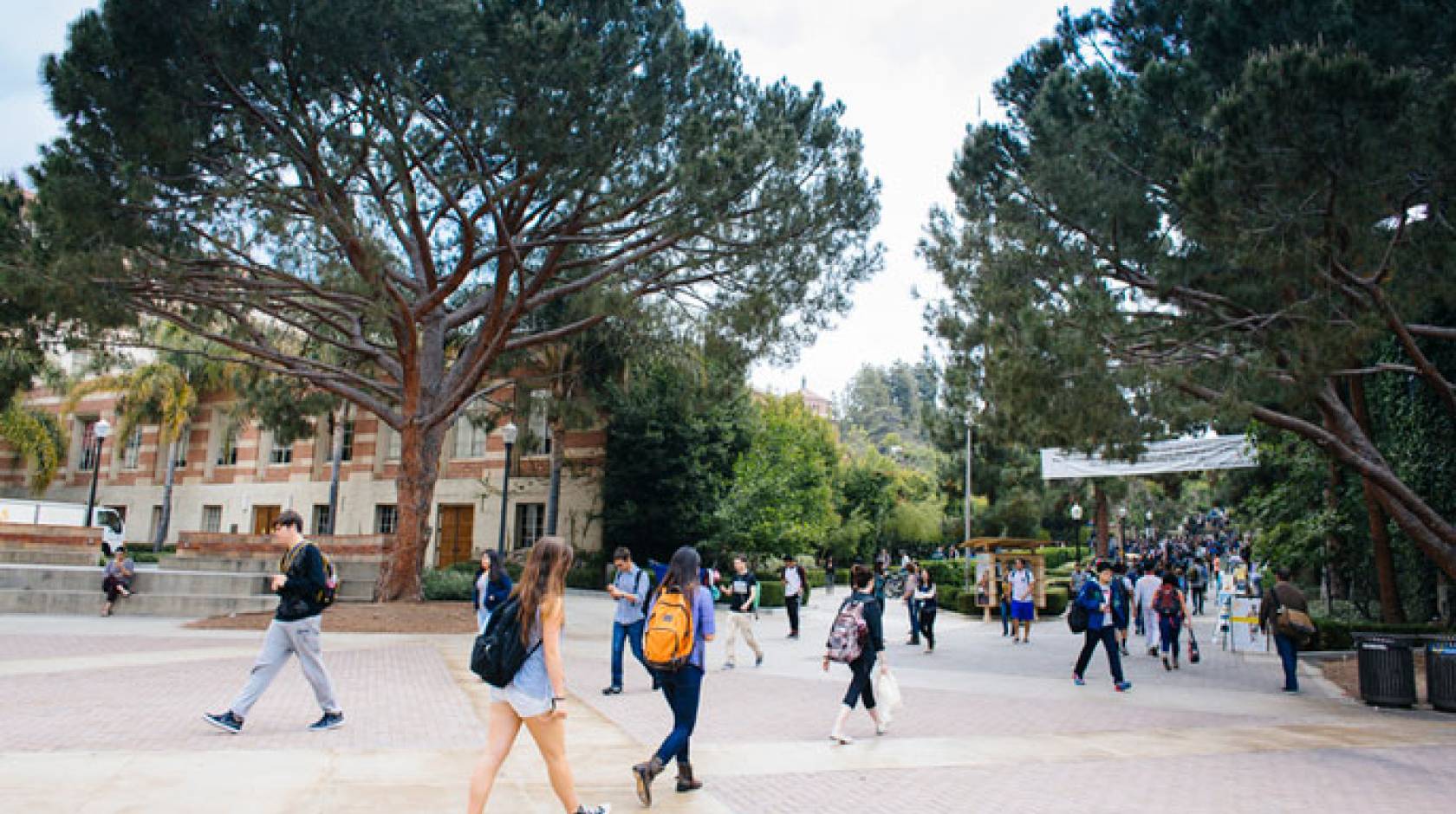 UCLA campus shot