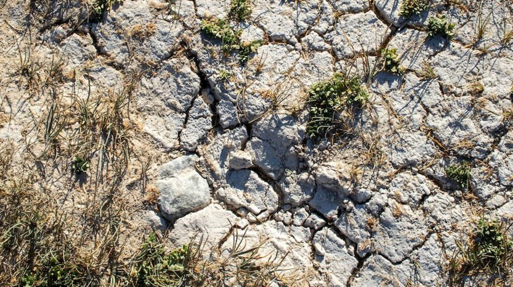 Dry, cracked earth