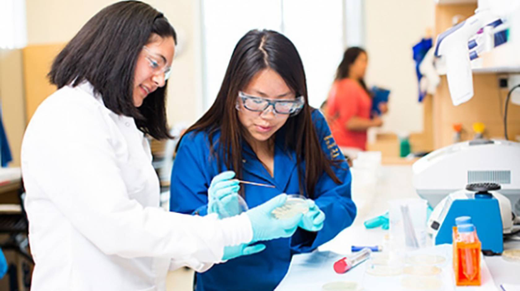 UC Merced professor Clarissa Nobile (left) works on biofilm research.