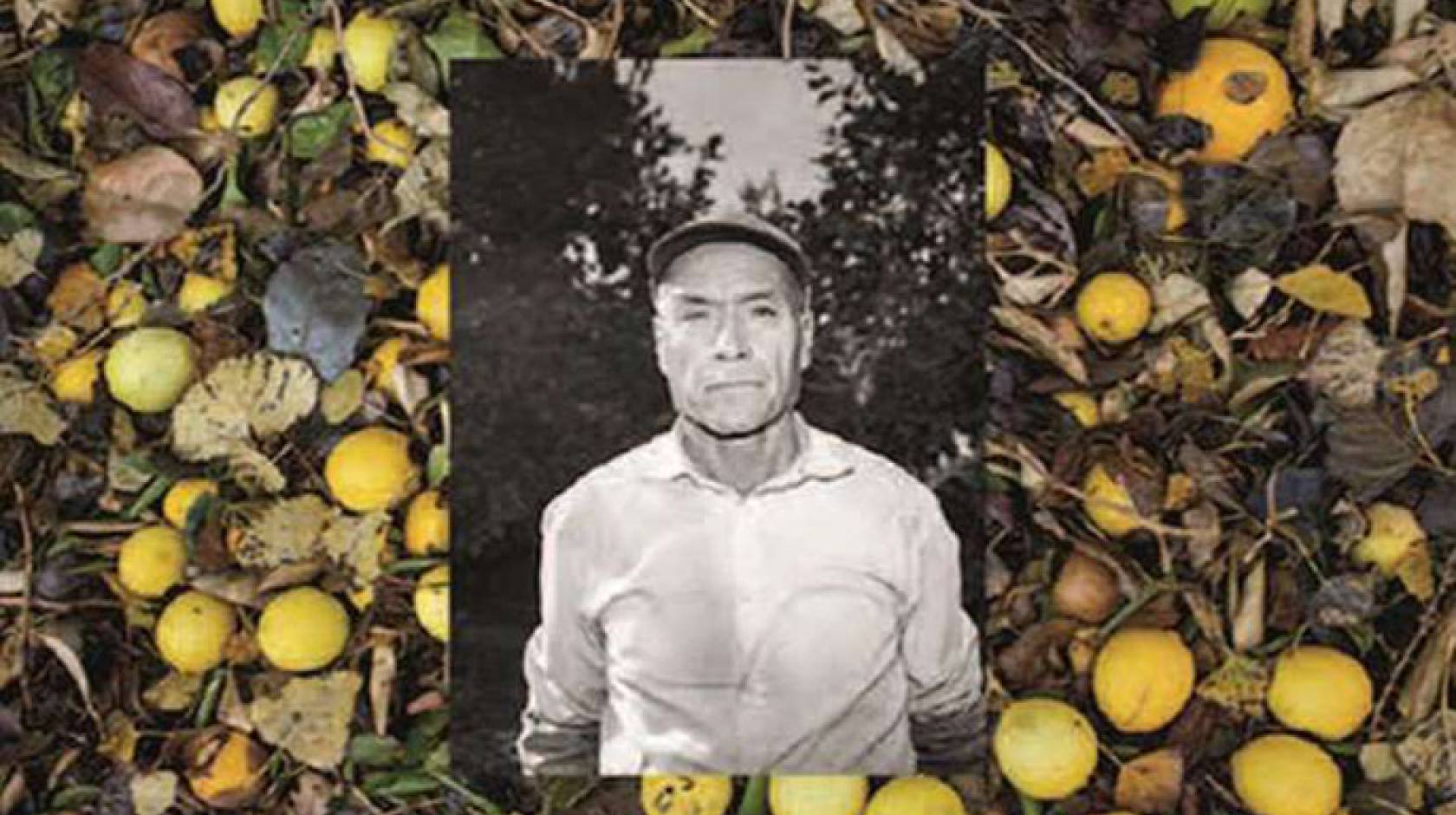 UCR researchers are uncovering hidden histories to help California Citrus State Historic Park tell a more inclusive story of the region’s citrus industry and use creative means to draw attention to it. This image is from “Manos, Espaldas y Blossoms (2017)