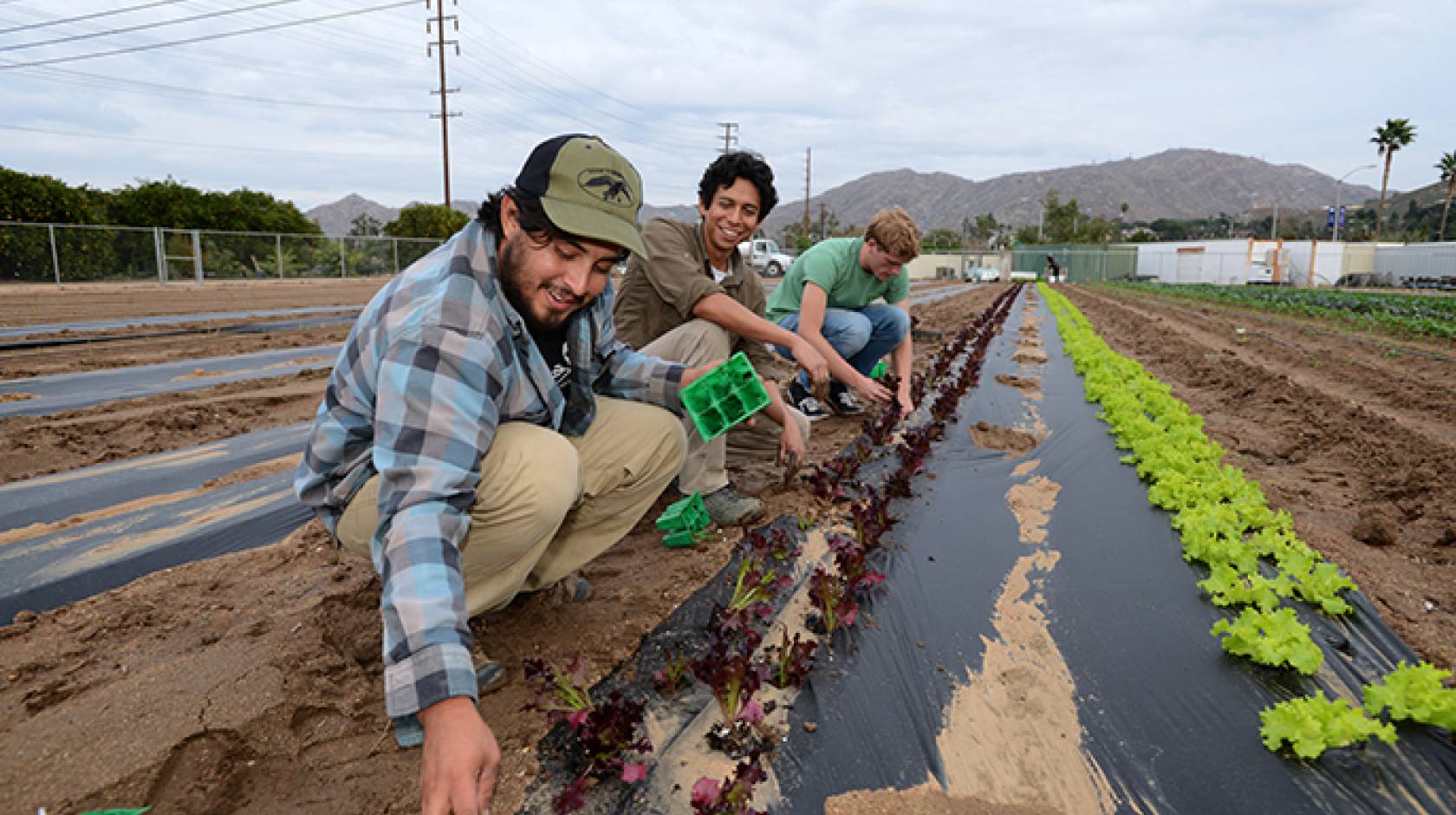 The GrowRIVERSIDE conference will feature a tour of UC Riverside’s R’Garden.