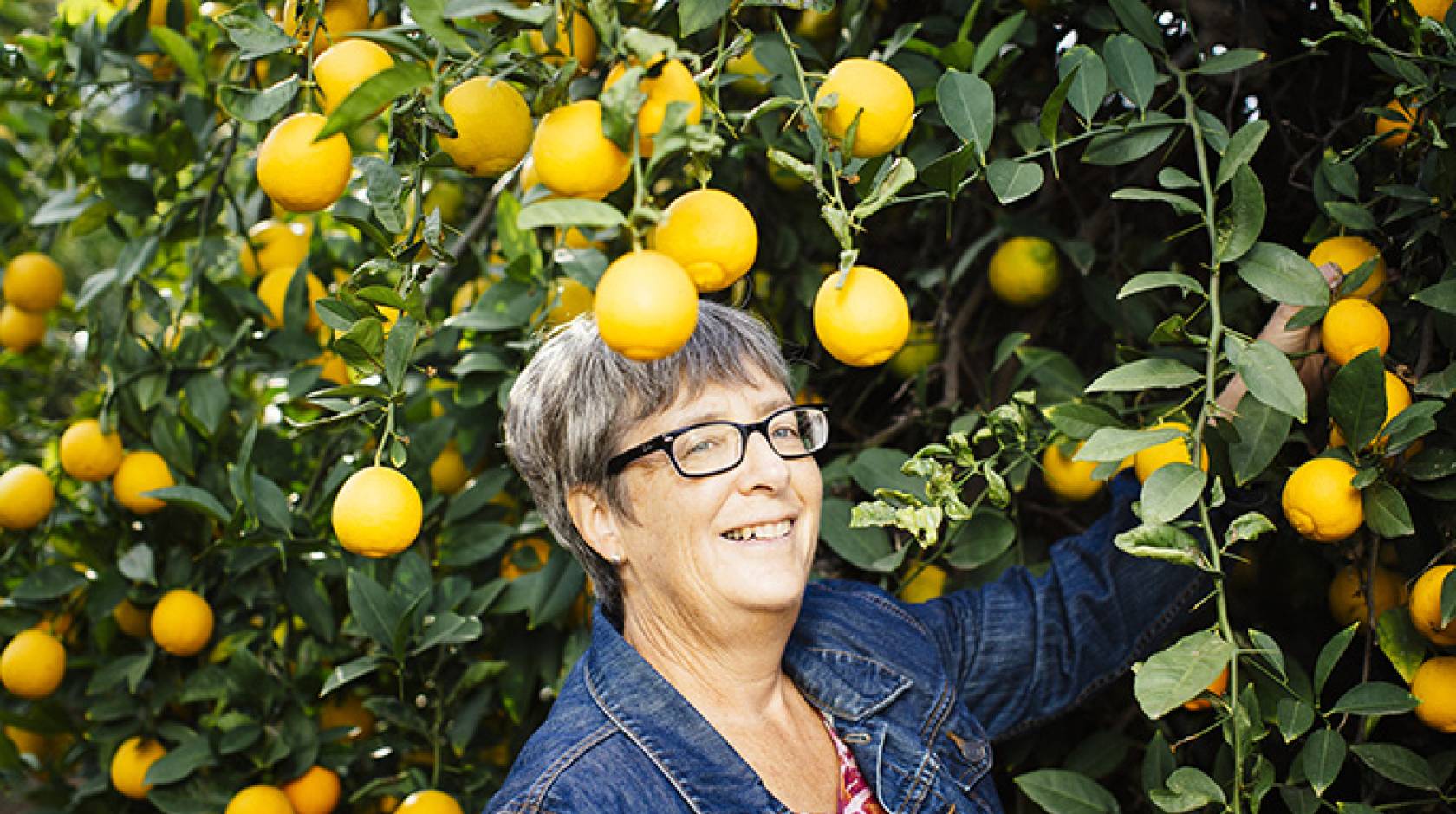 Tracy Kahn, curator of UC Riverside's Citrus Variety Collection