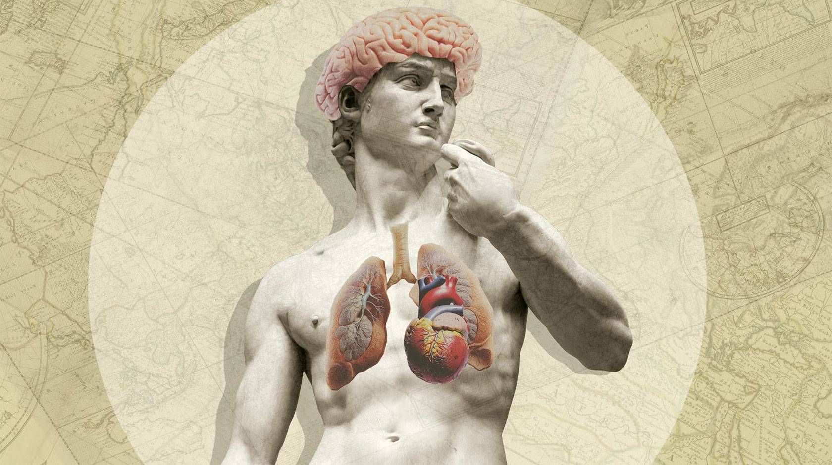 Collage of a classical marble statue with an exposed, vividly colored brain, heart and lungs, set against a vintage map background.