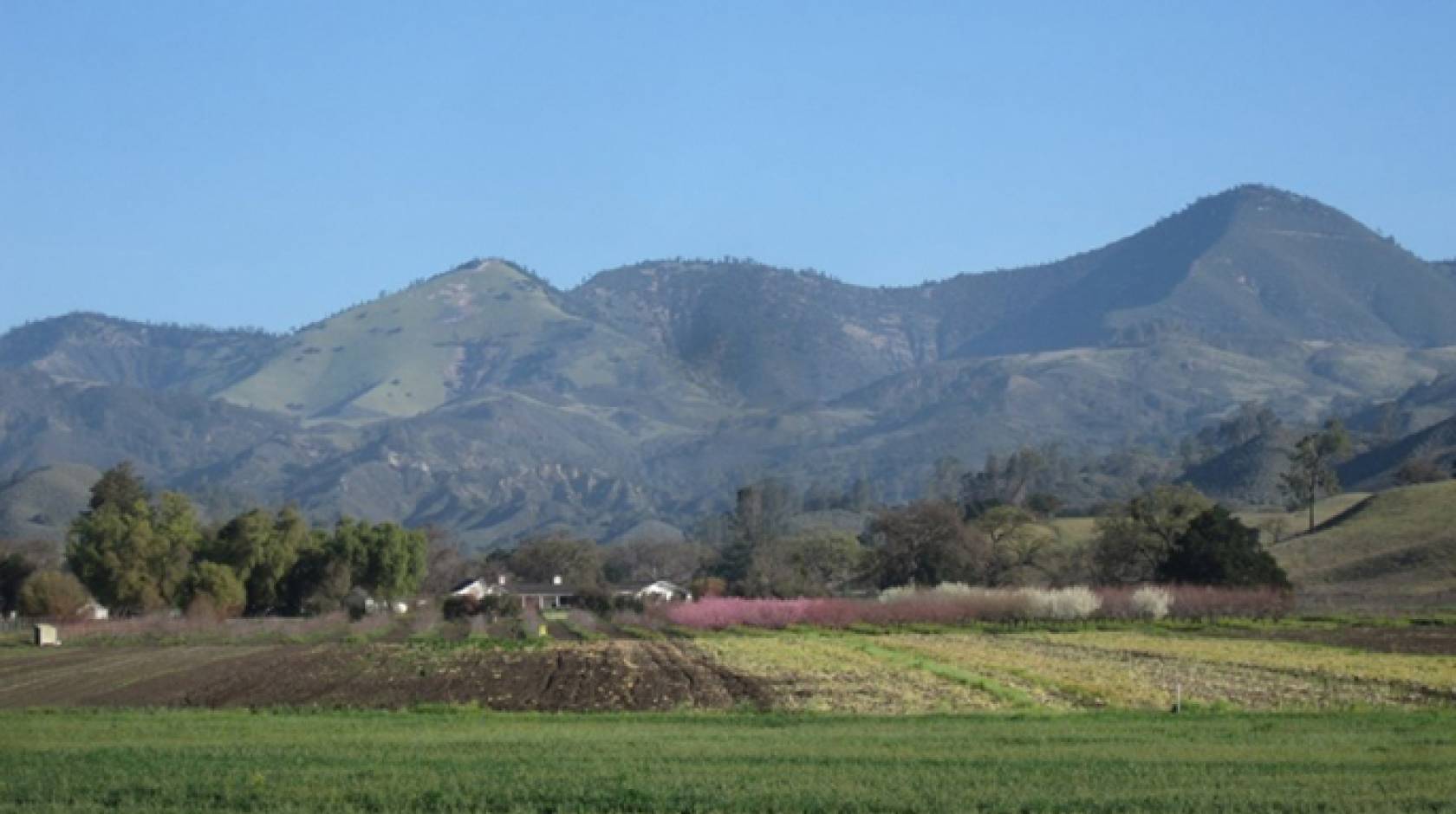 UC Santa Barbara computer scientist Chandra Krintz is testing her SmartFarm technology at Sedgwick Reserve, pictured, among other locations in the region.