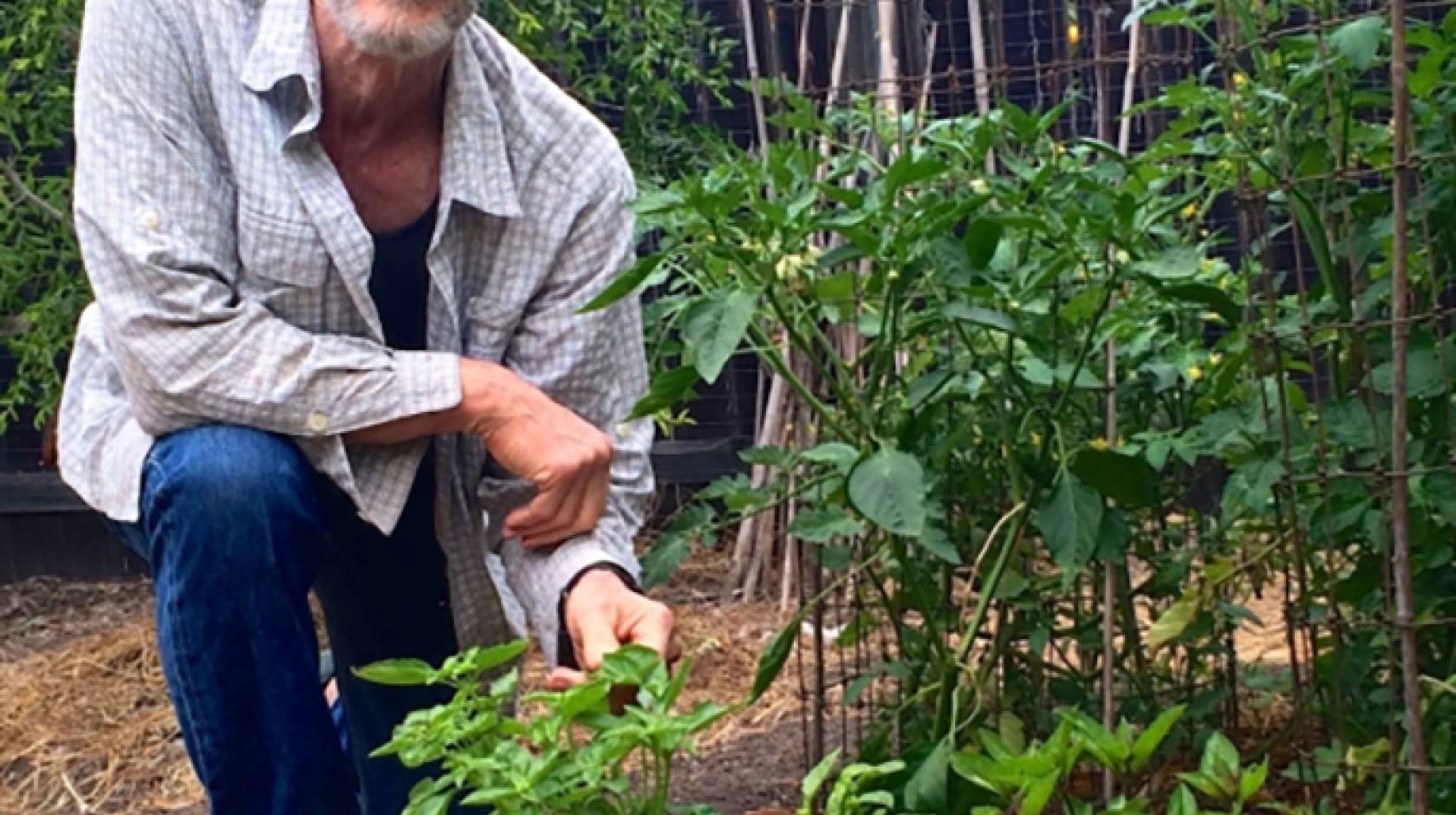 UC Santa Barbara professor David Cleveland in his home garden.