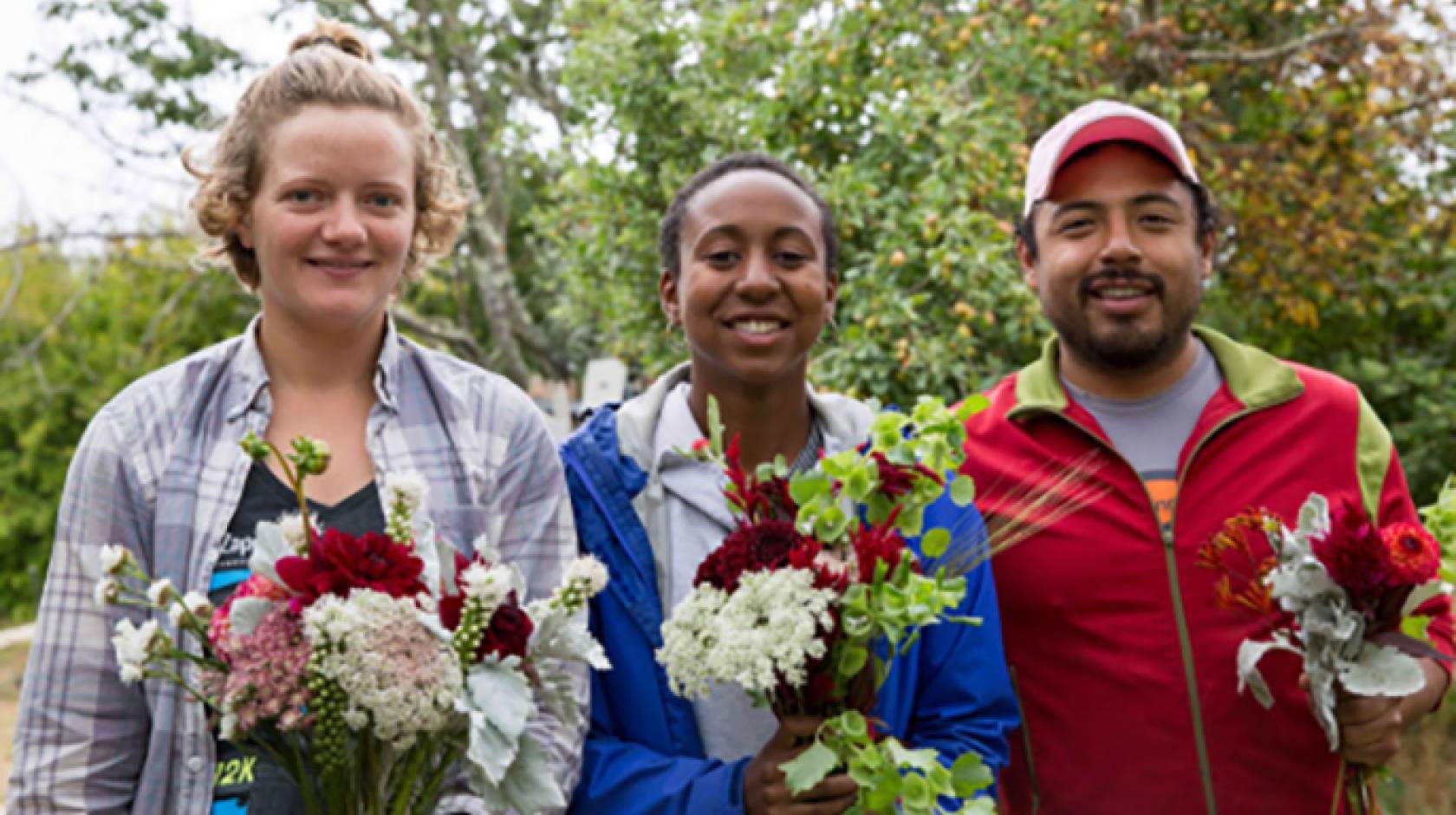 Applications are now being accepted for the 2017 Apprenticeship in Ecological Horticulture at UC Santa Cruz, now in its 50th year, the longest running university-based organic farming and gardening training program in the U.S.