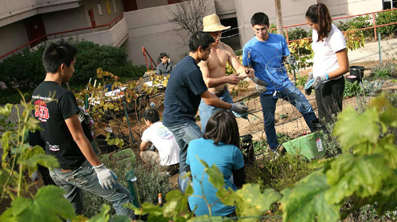 Students gardening