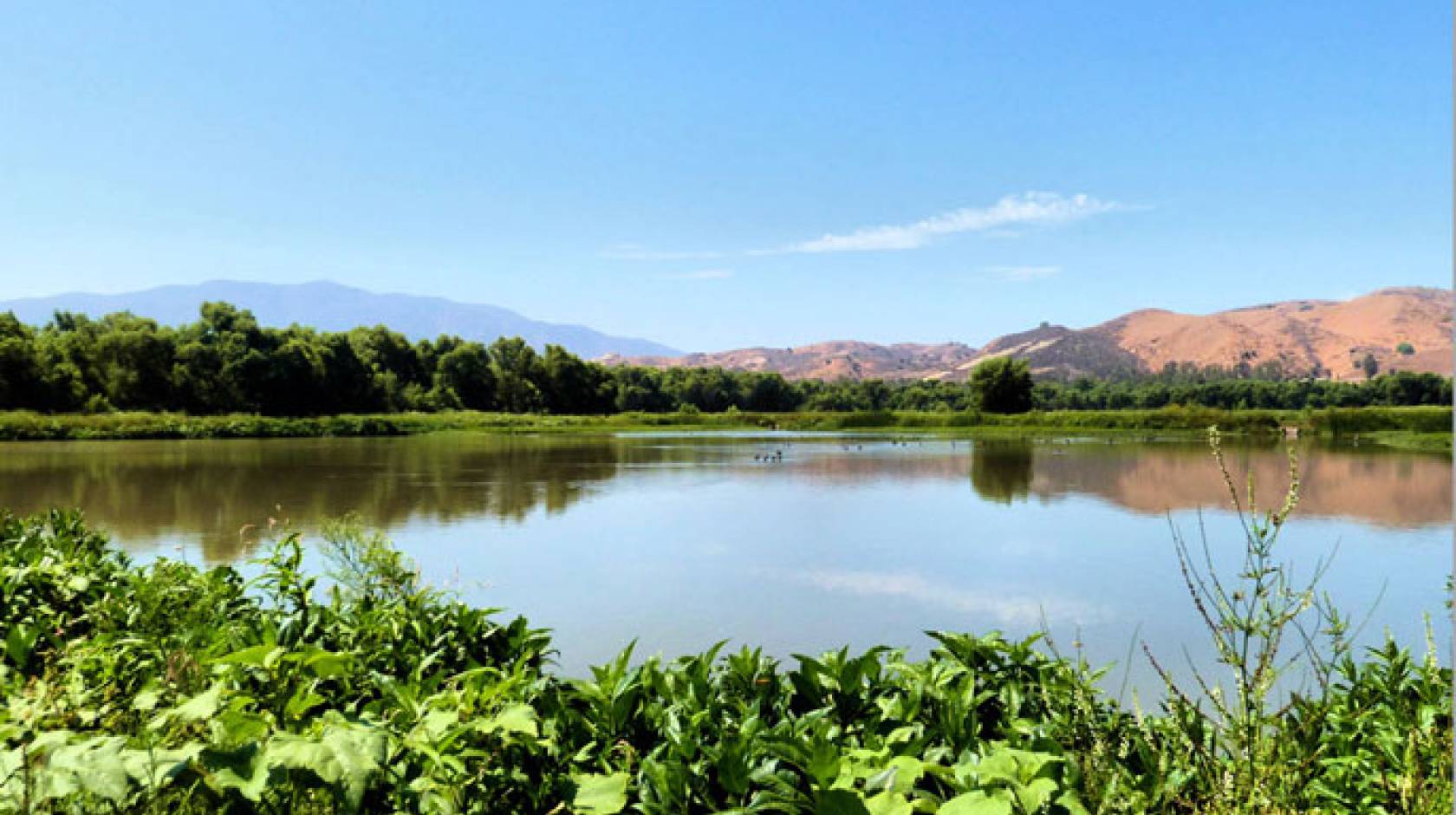 UC Berkeley urban water revolution